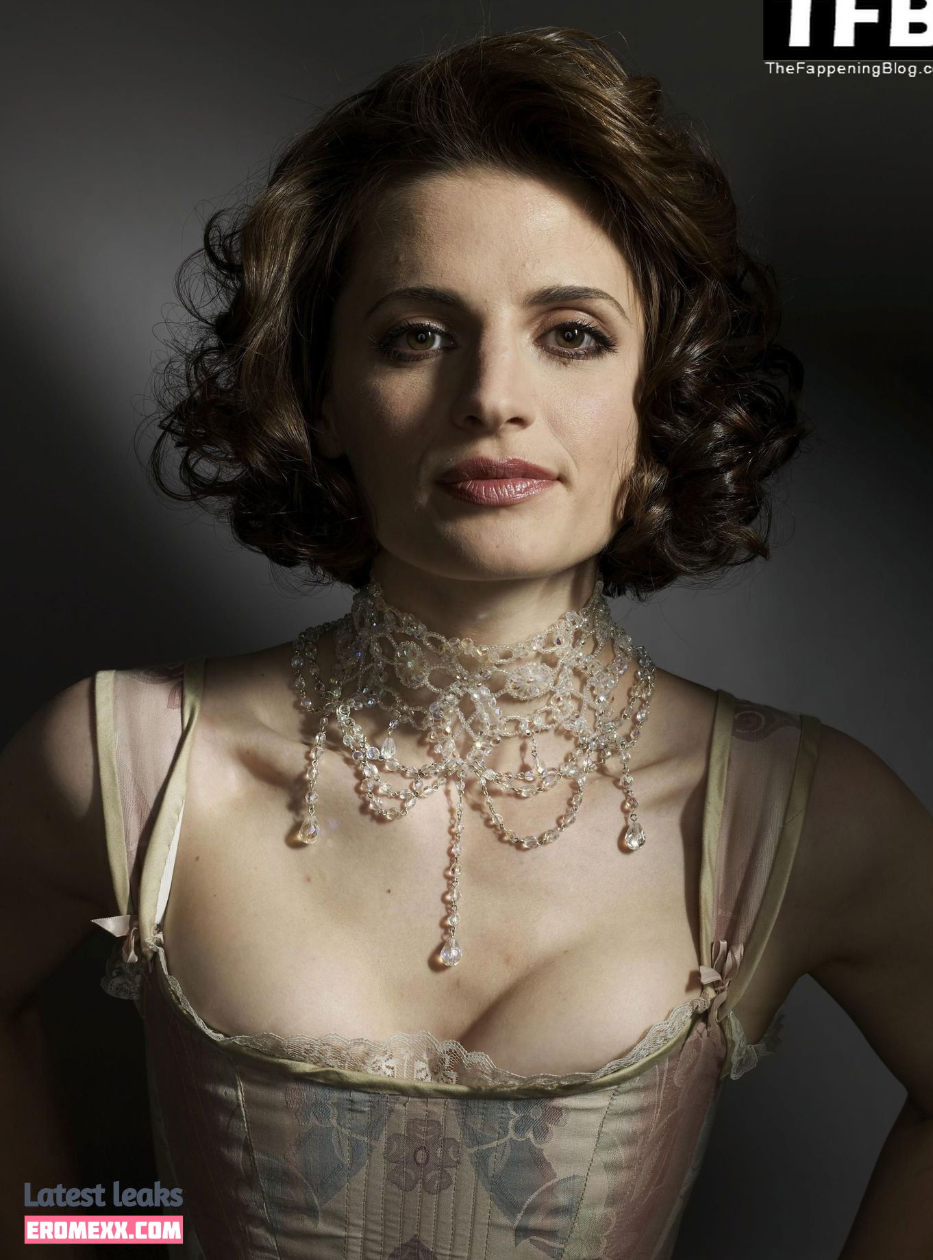 Latest Leaks Stana Katic Nude #66 - Erome