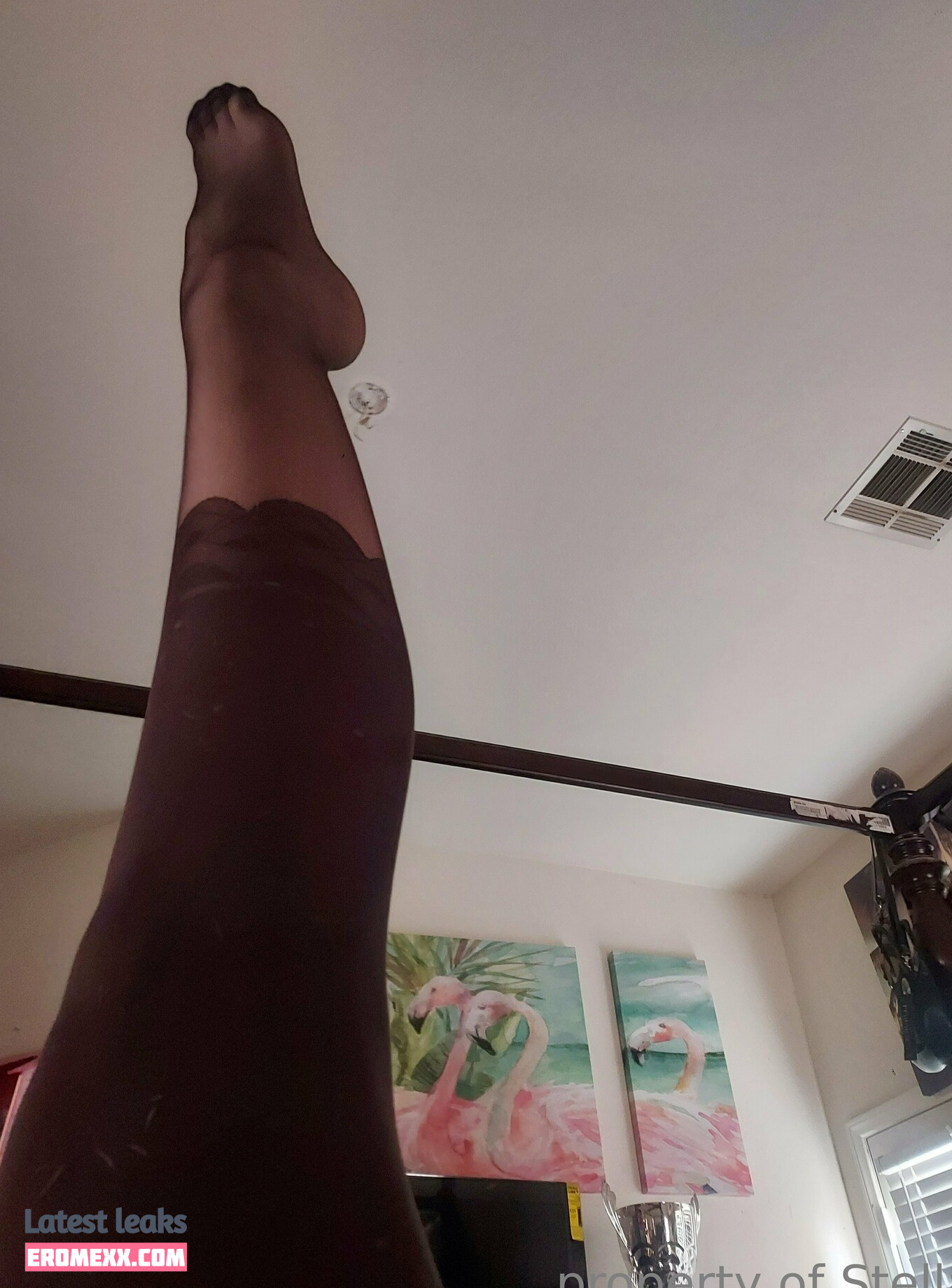Latest Leaks stellaaeternum Nude #104 - Fapello
