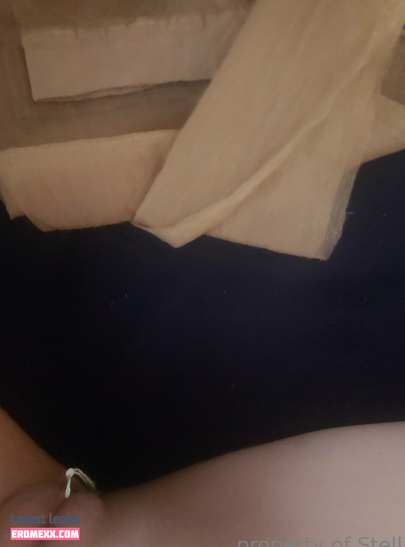 Latest Leaks stellaaeternum Nude #78 - Fapello