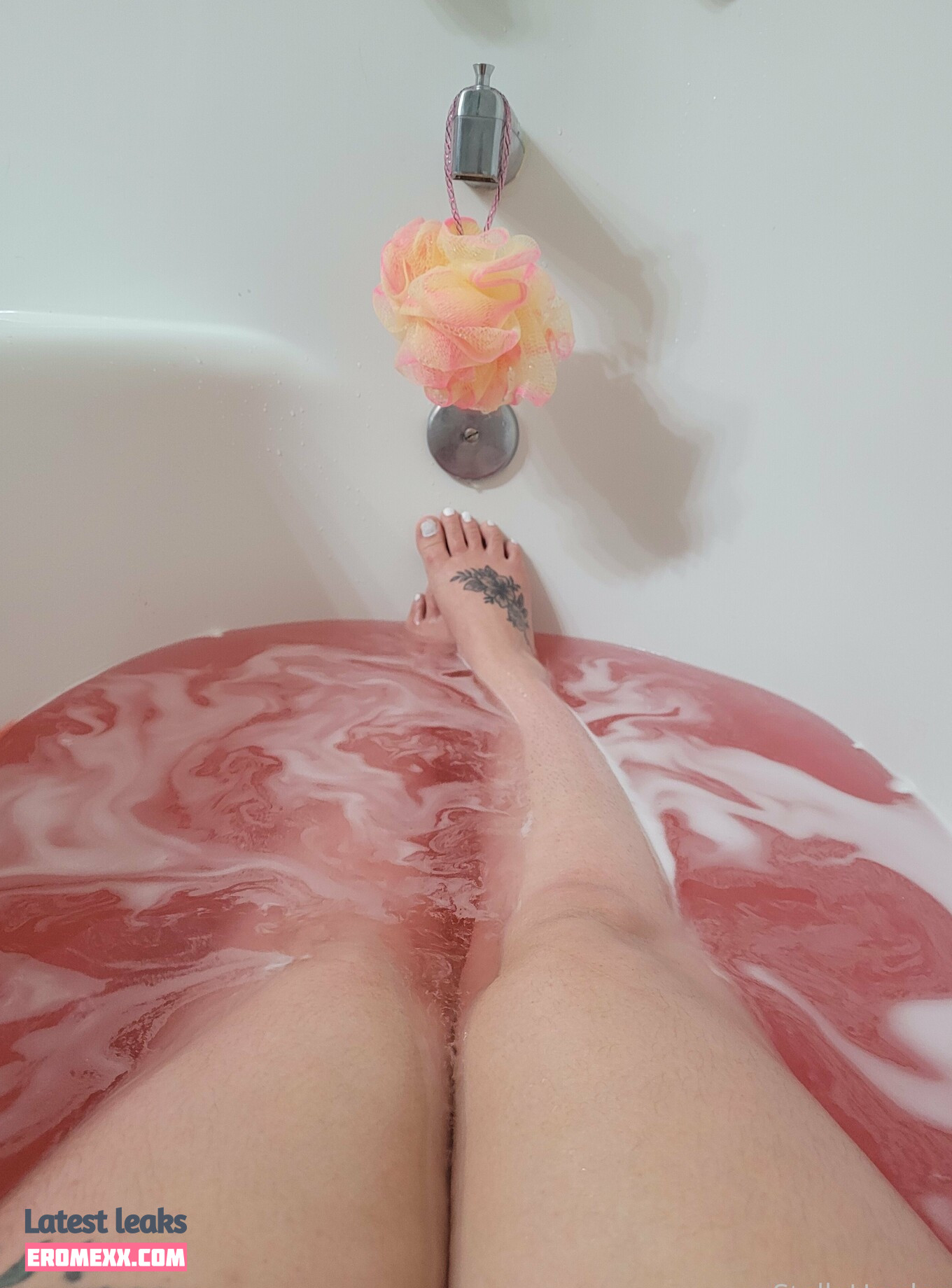 Latest Leaks stellashardcore Nude #31 - Fapello