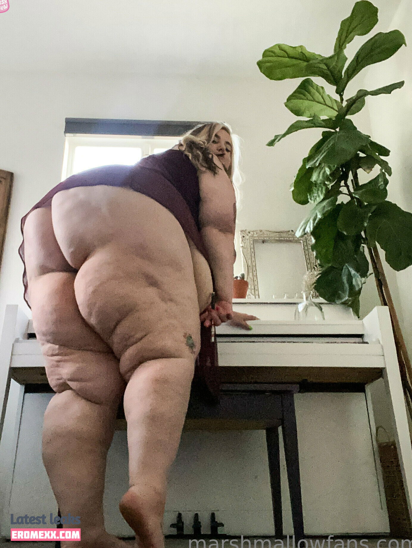 Latest Leaks summermarshmallow Nude #95 - Fapello