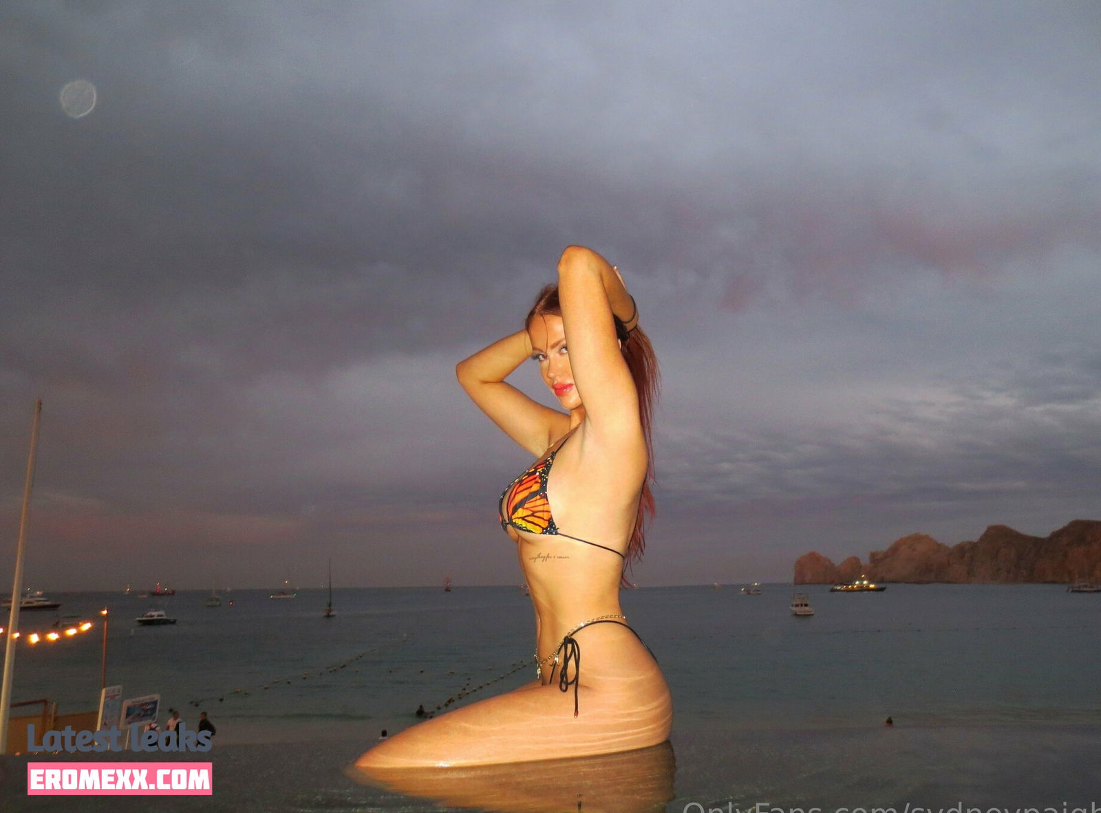 Latest Leaks syddddddddddddddddddd Nude #13 - Fapello