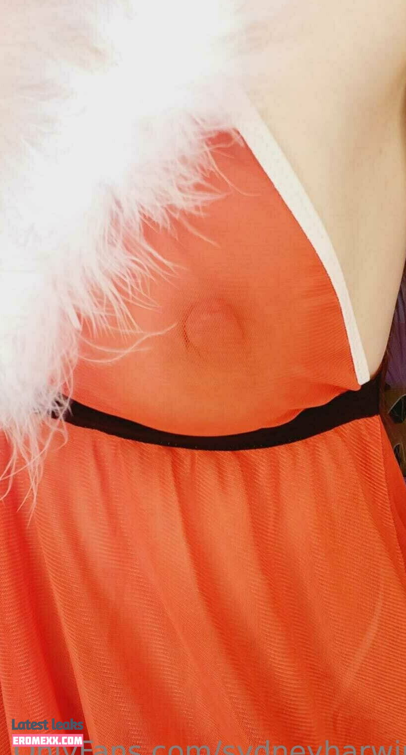 Latest Leaks sydneyharwin Nude #3 - Fapello
