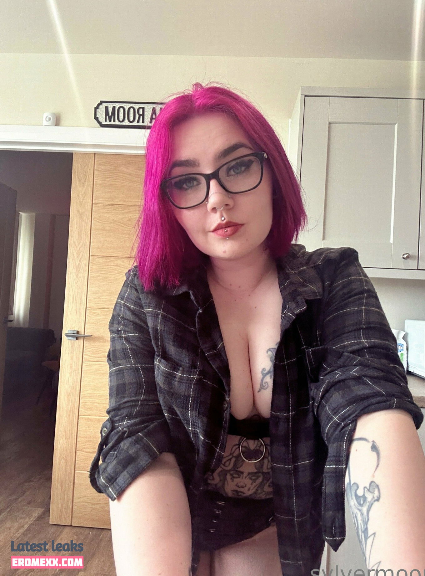 Latest Leaks sylvermoon Nude #104 - Erome