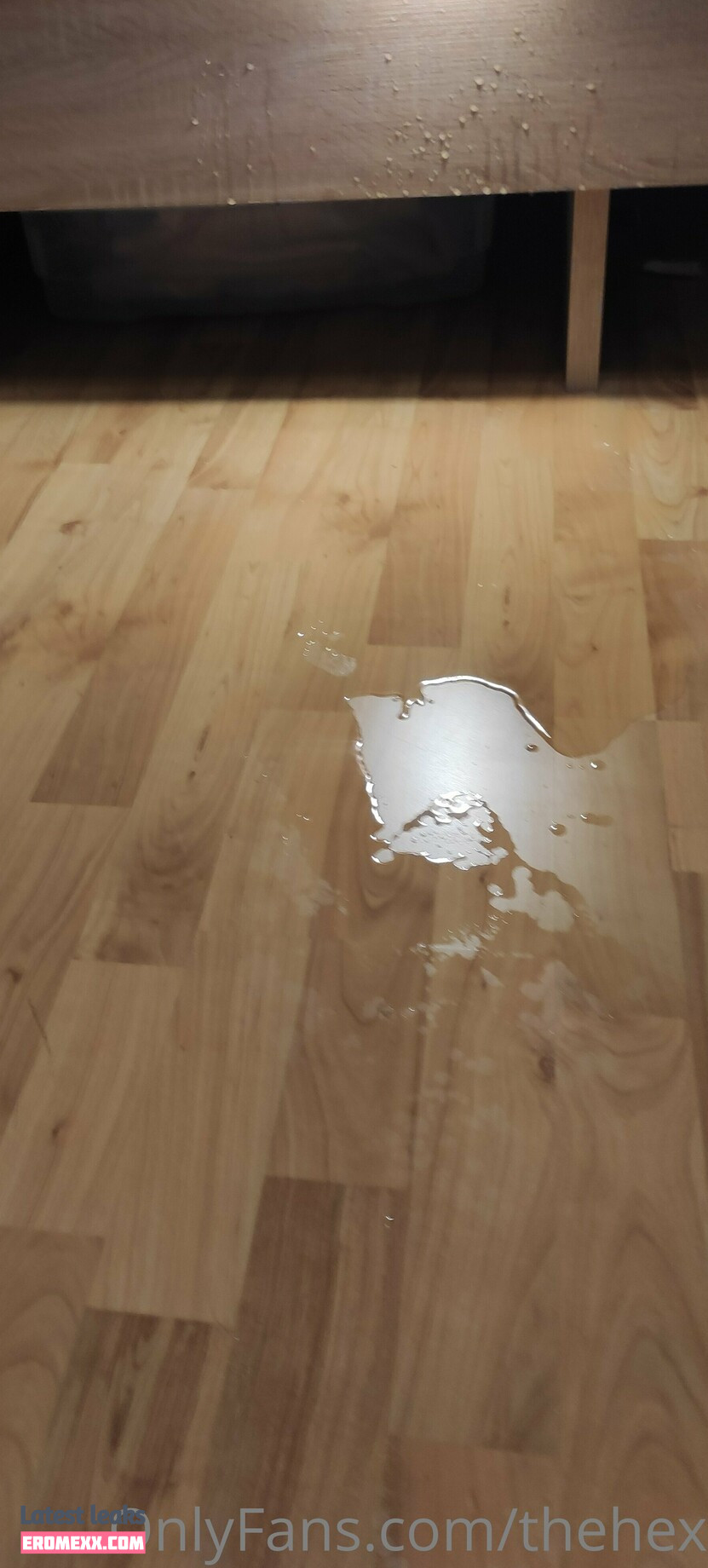 Latest Leaks thehexe Nude #4 - Fapello