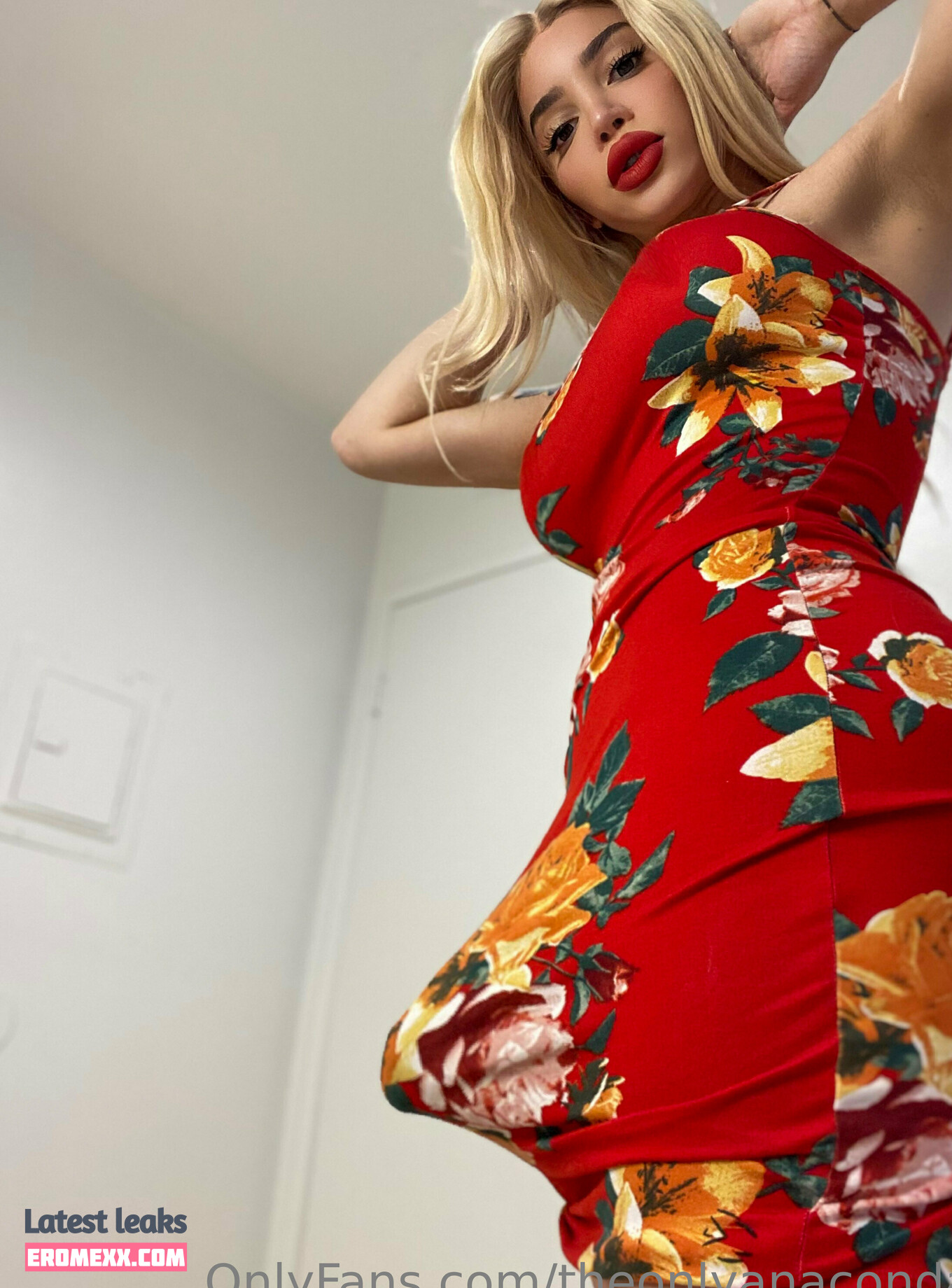Latest Leaks theonlyanaconda Nude #49 - Fapello