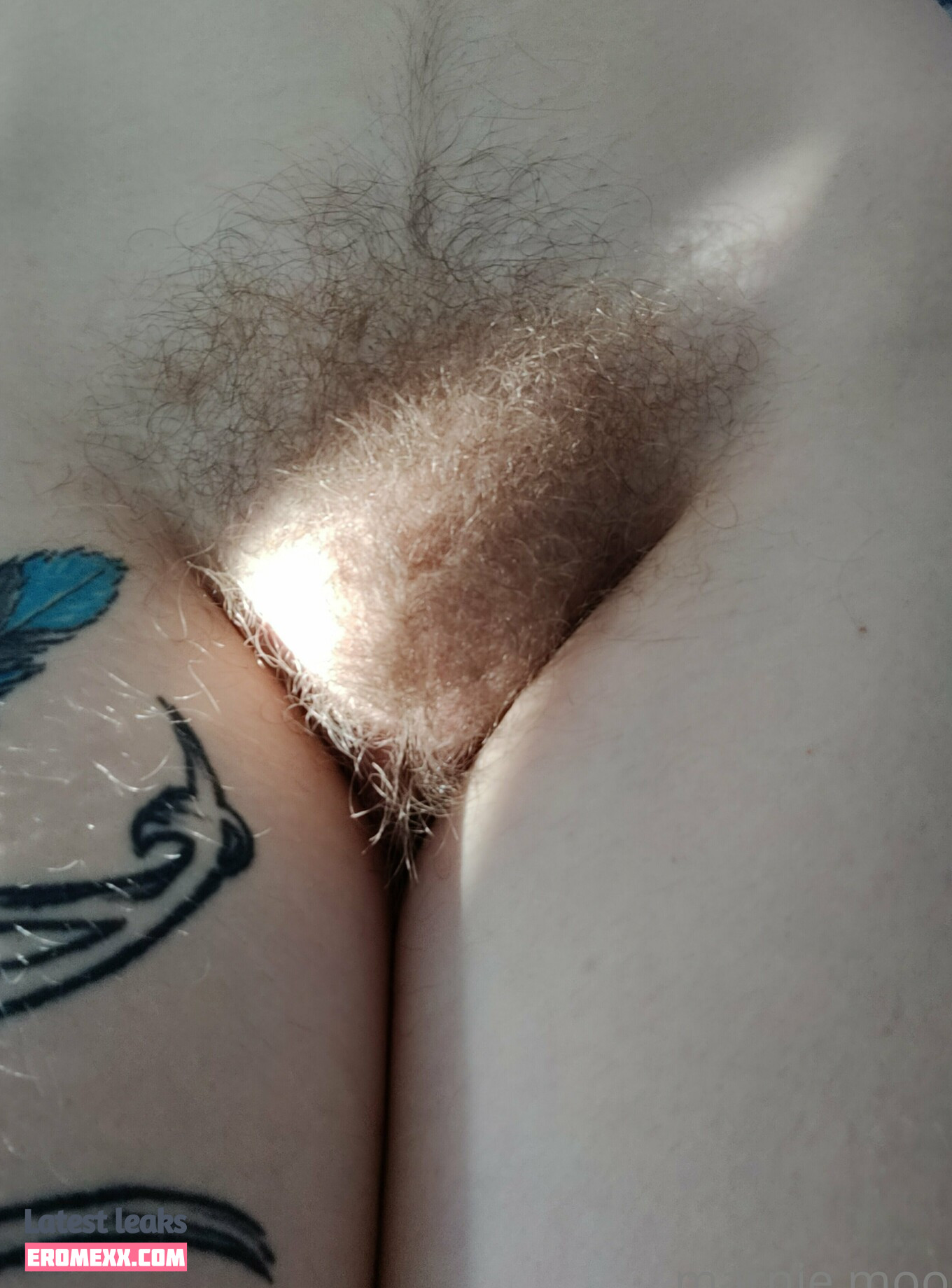 Latest Leaks thesavorypie Nude #14 - Fapello