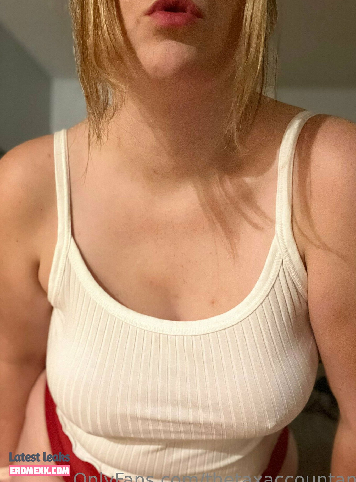 Latest Leaks thetaxaccountant Nude #20 - Fapello