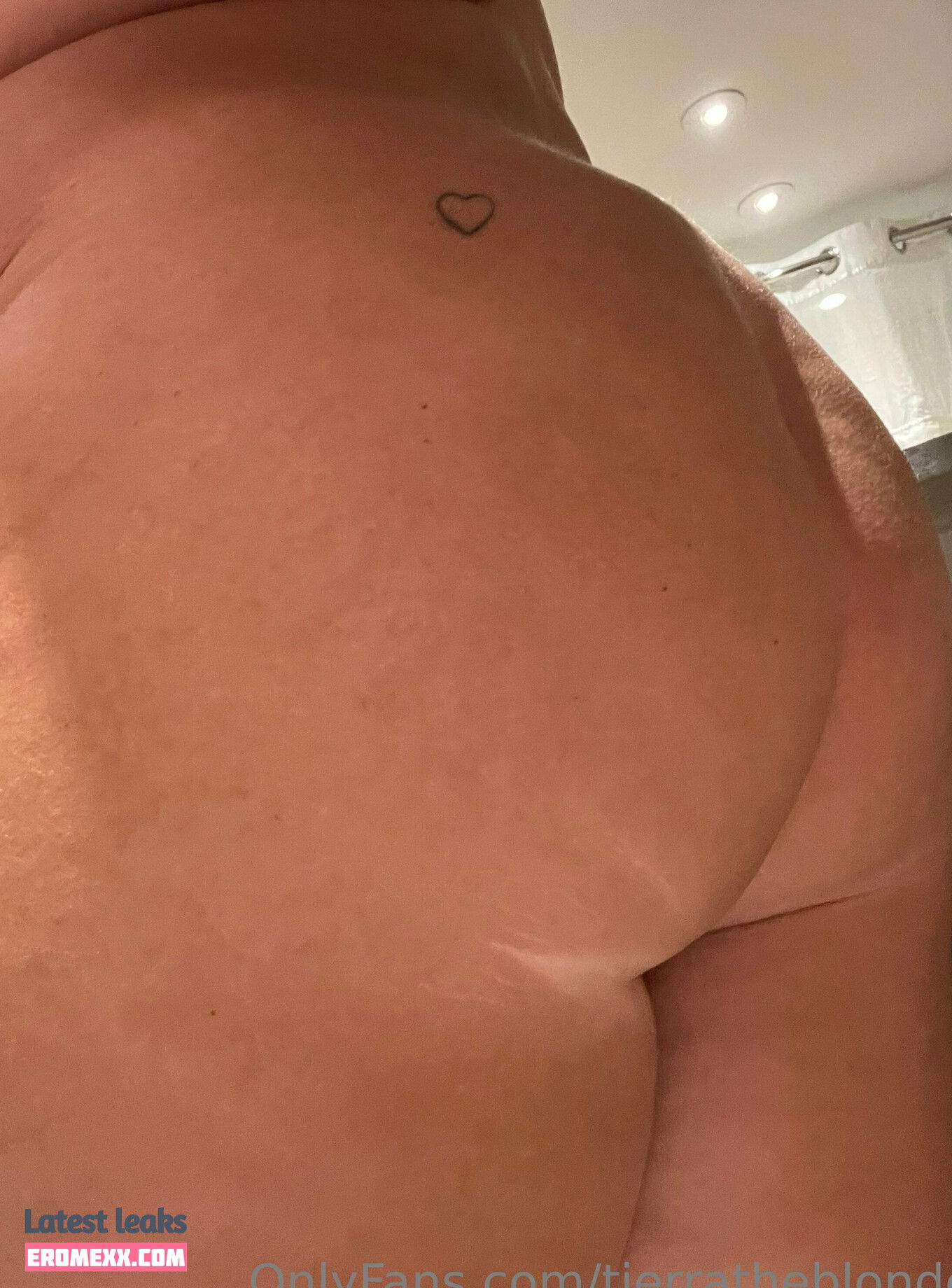 Latest Leaks tierratheblonde Nude #39 - Fapello