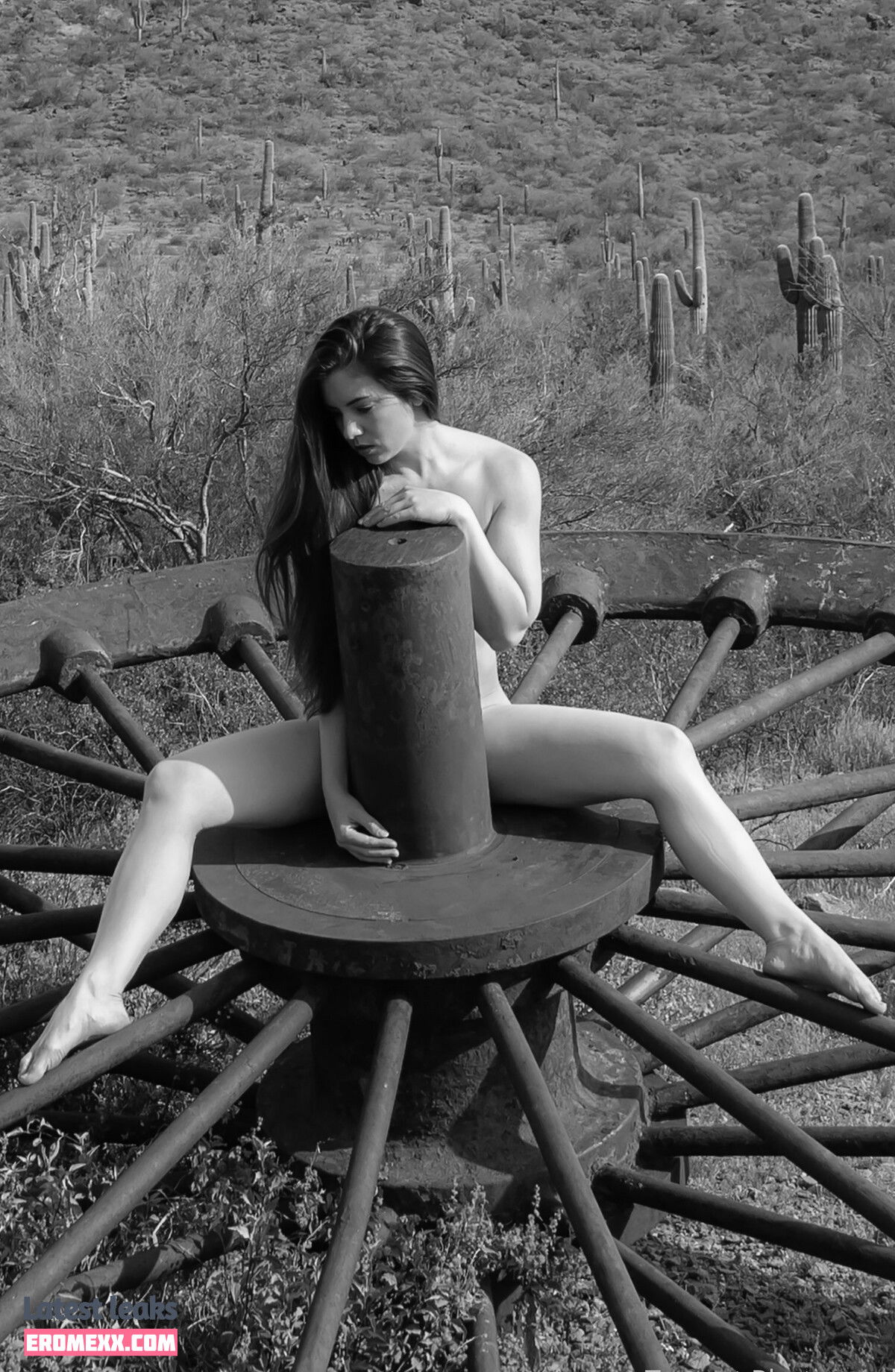Latest Leaks tomcat_photography Nude #2 - Fapello