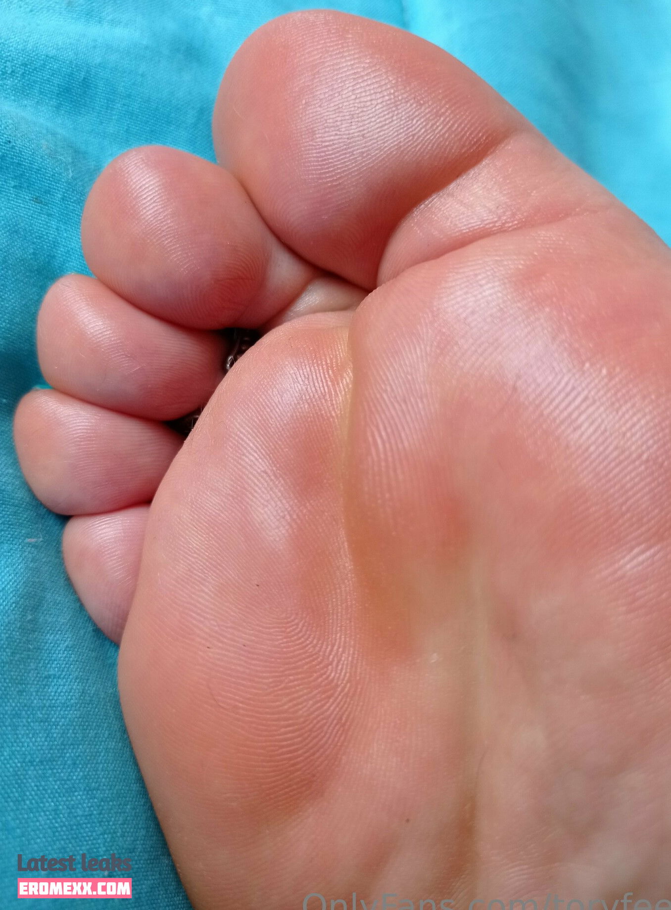 Latest Leaks toryfeet Nude #19 - Fapello