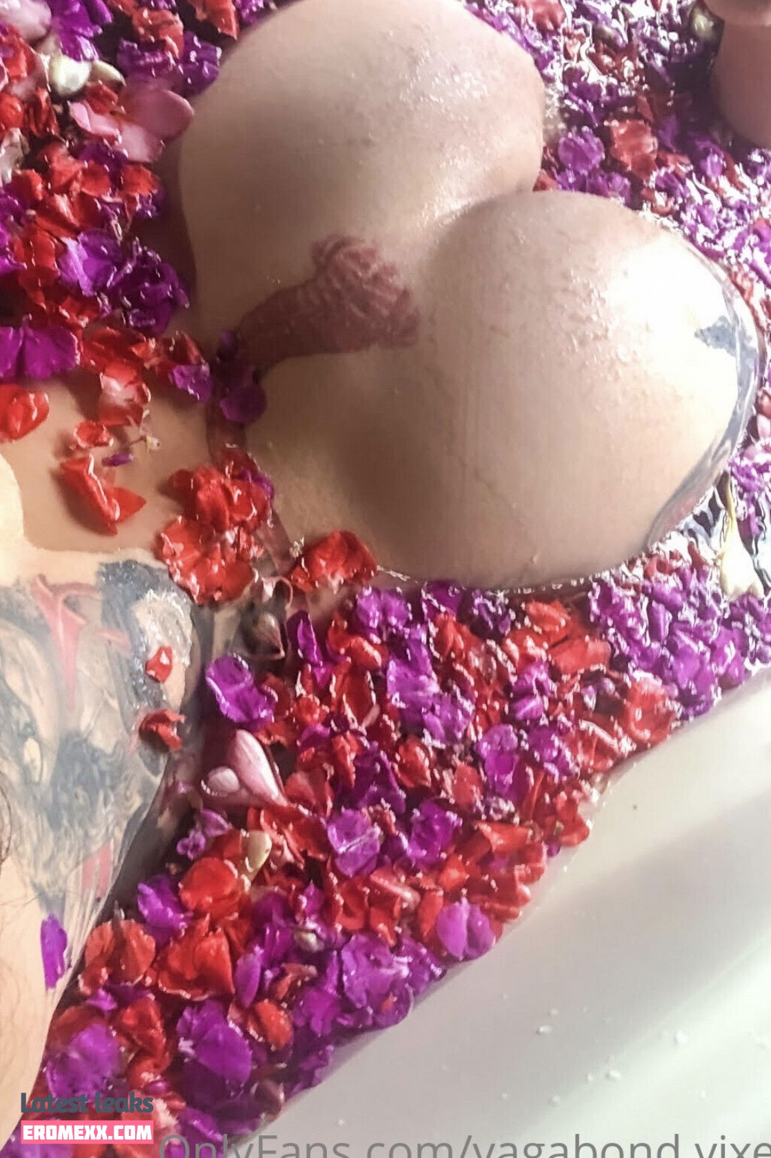 Latest Leaks Vagabond Vixen Nude #5 - Fapello