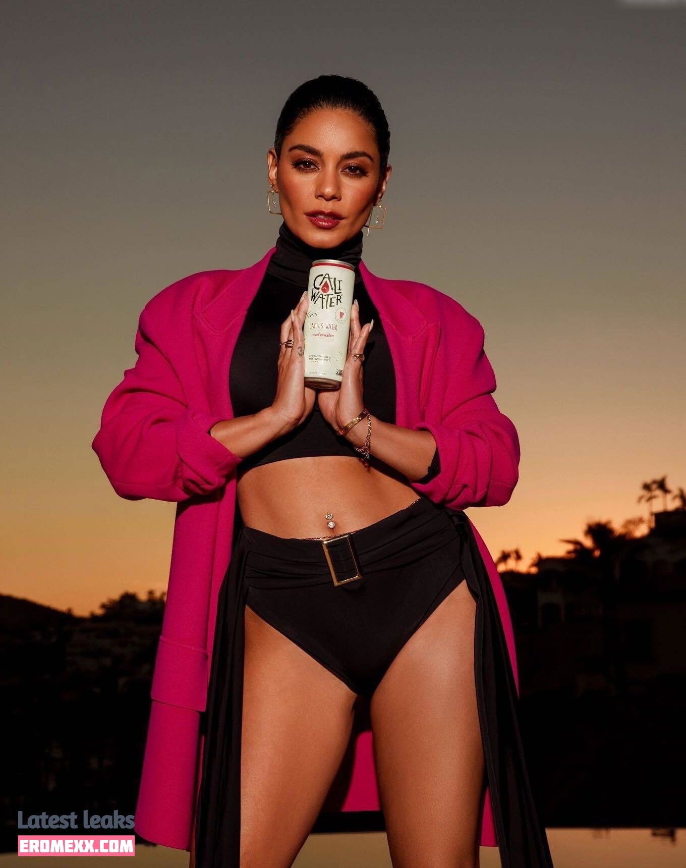 Latest Leaks Vanessa Hudgens Nude #6660 - Fapello