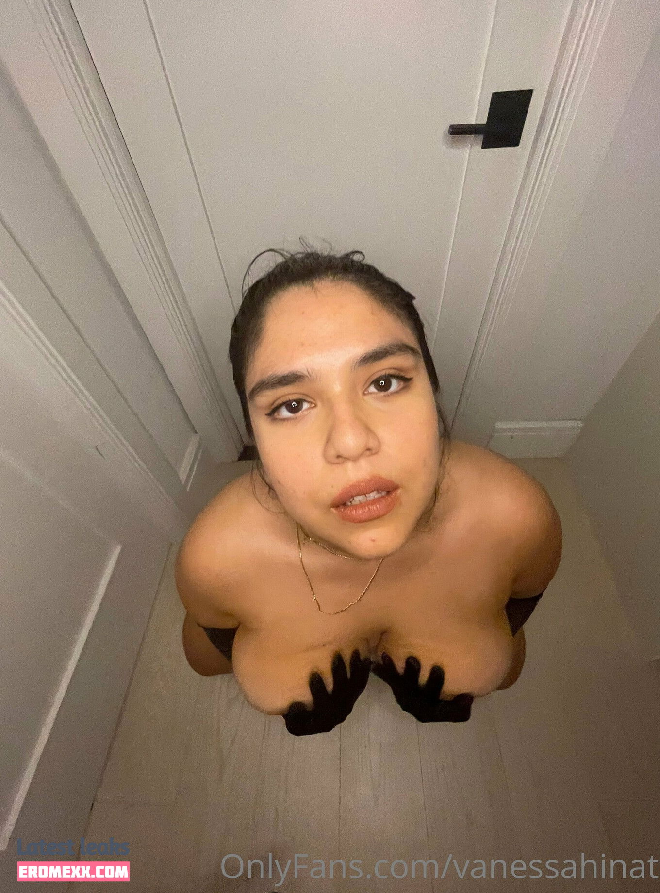 Latest Leaks vanessahinata Nude #20 - Fapello