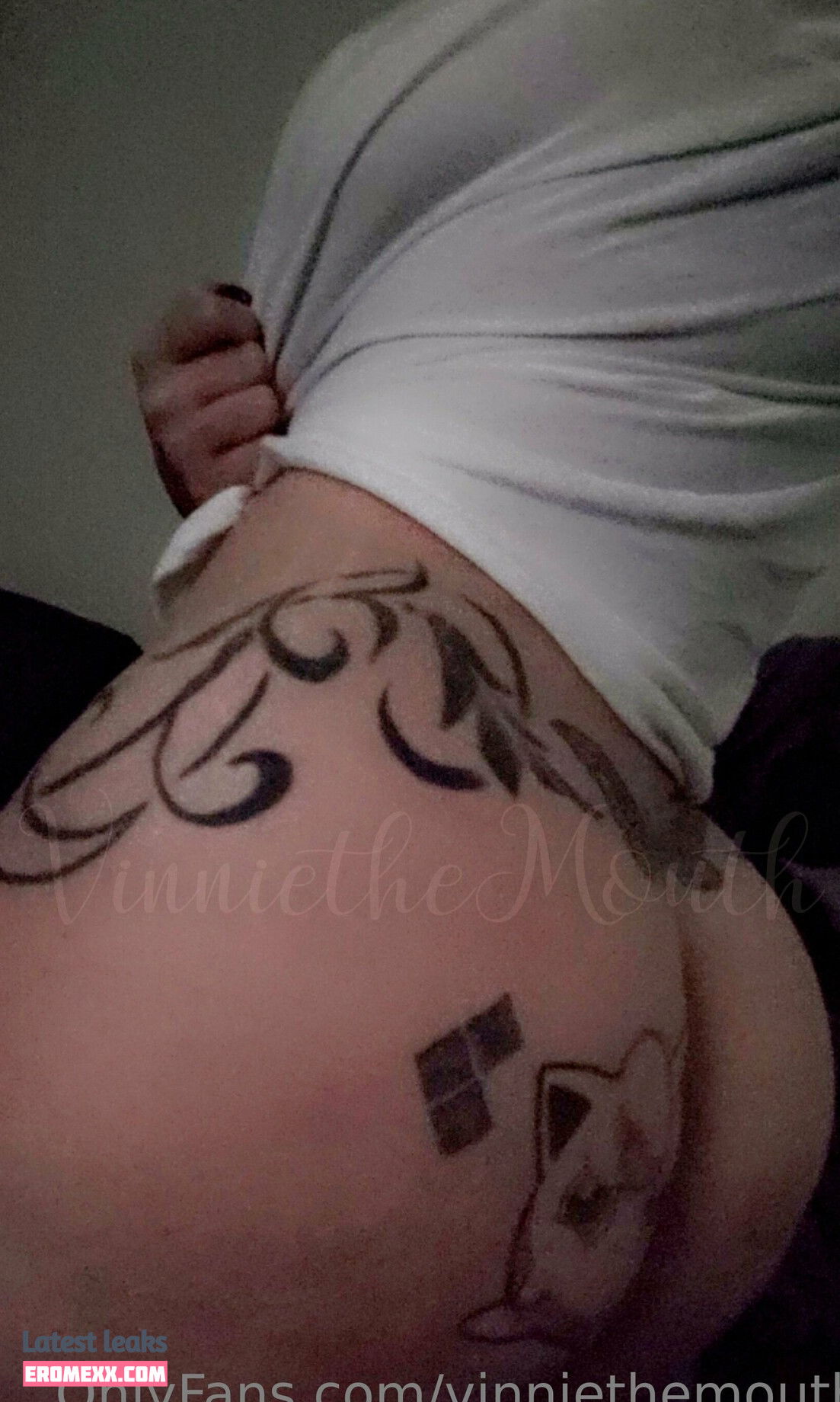 Latest Leaks vinniethemouth Nude #28 - Fapello