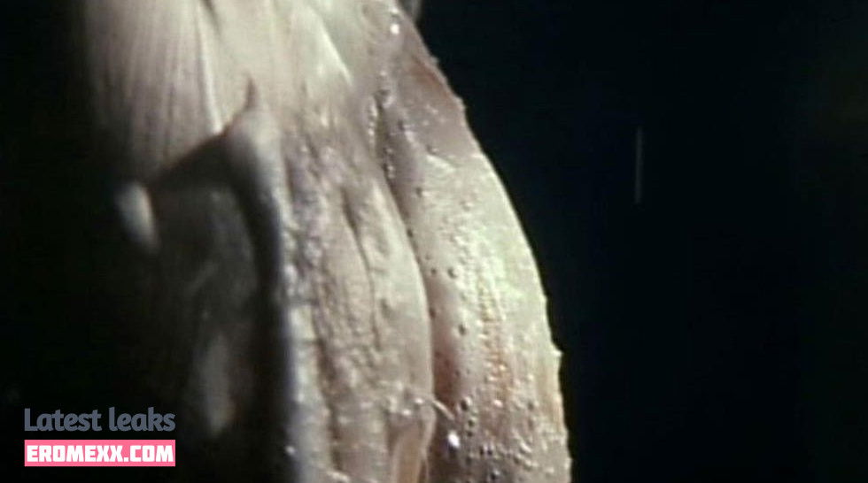 Latest Leaks Vivian Hsu Nude #4 - Fapello