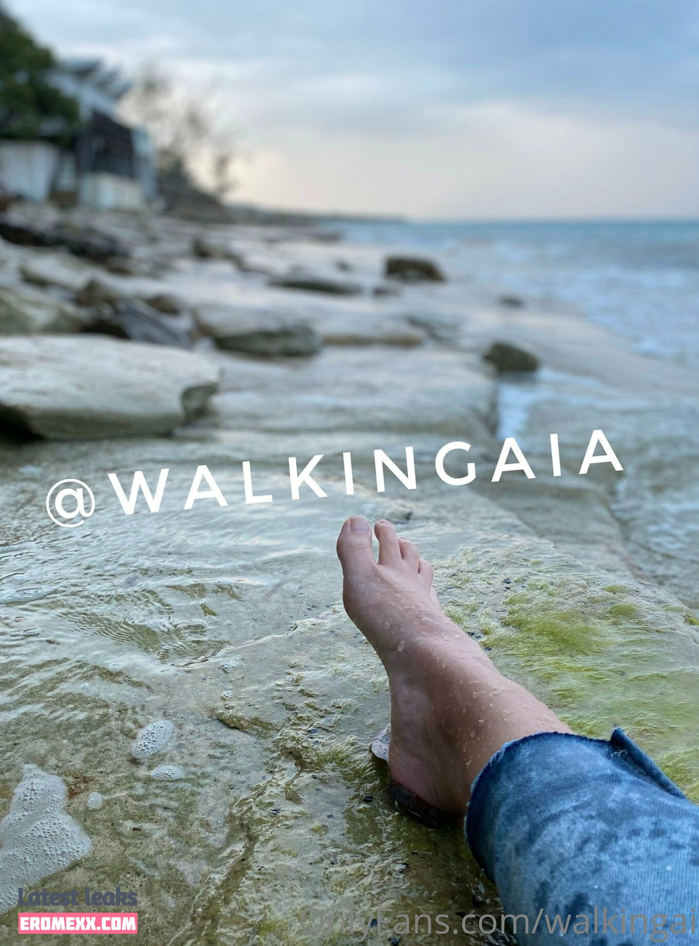 Latest Leaks walkingaia Nude #1 - Fapello