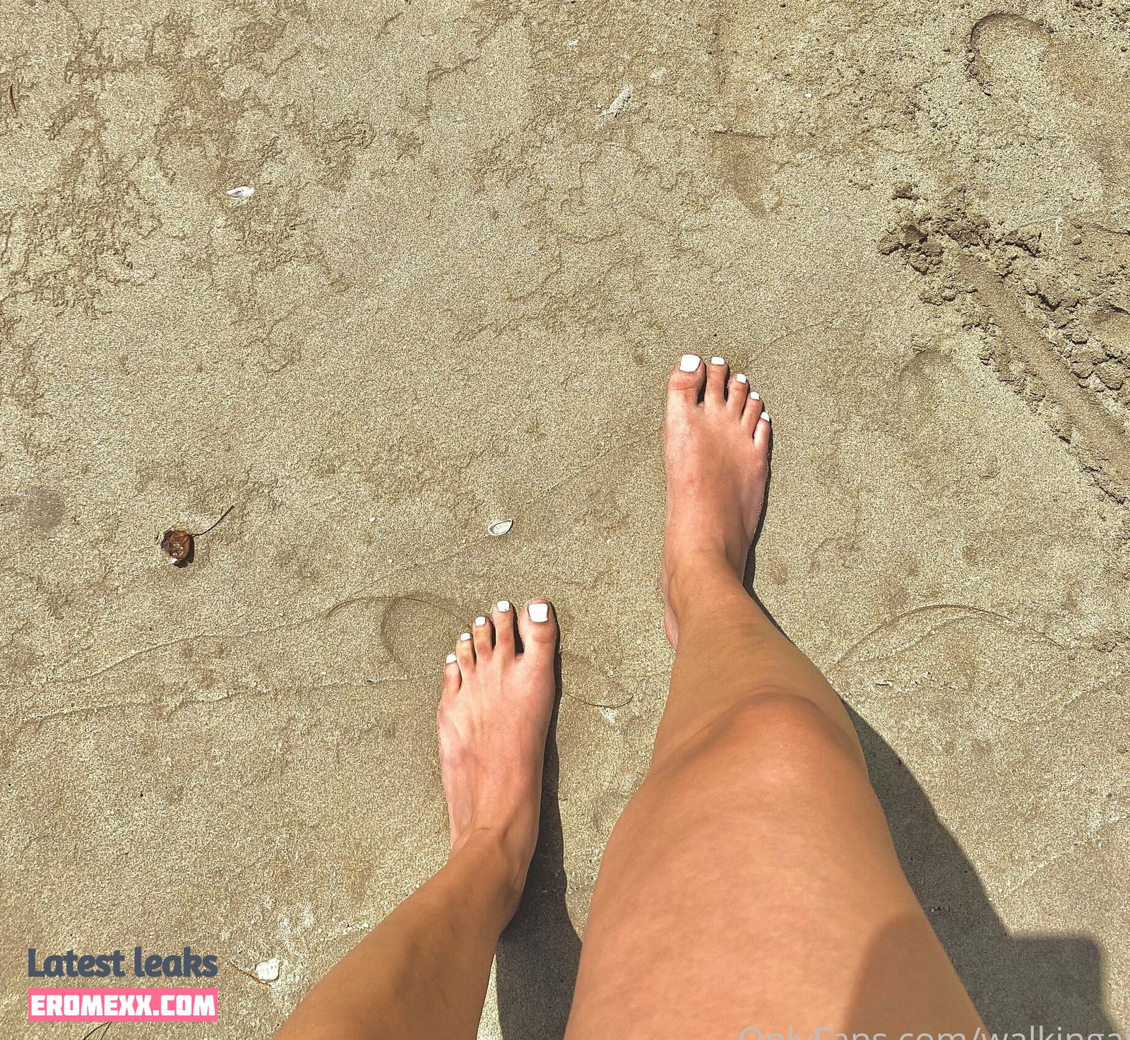 Latest Leaks walkingaia Nude #11 - Fapello