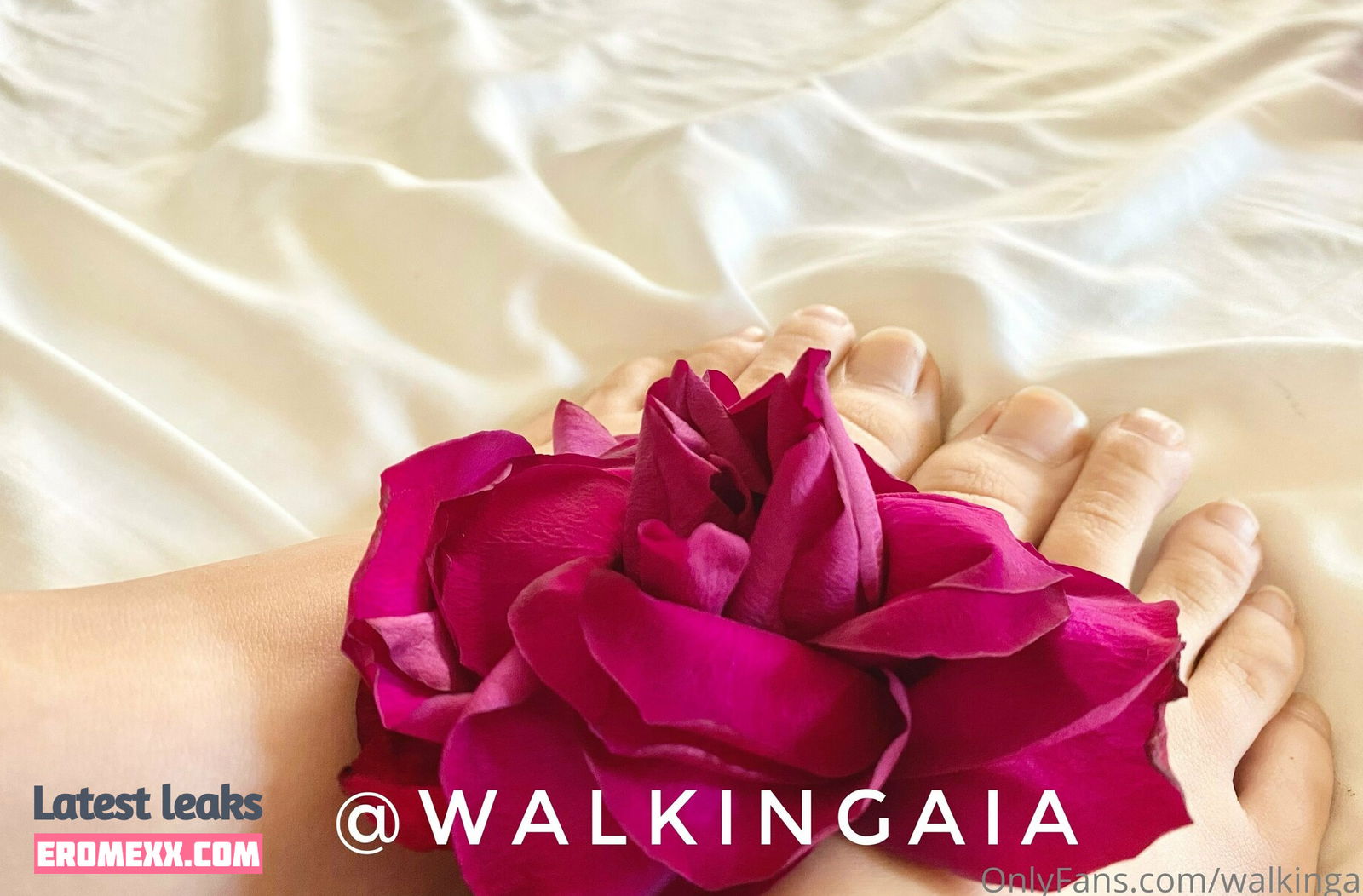Latest Leaks walkingaia Nude #13 - Fapello