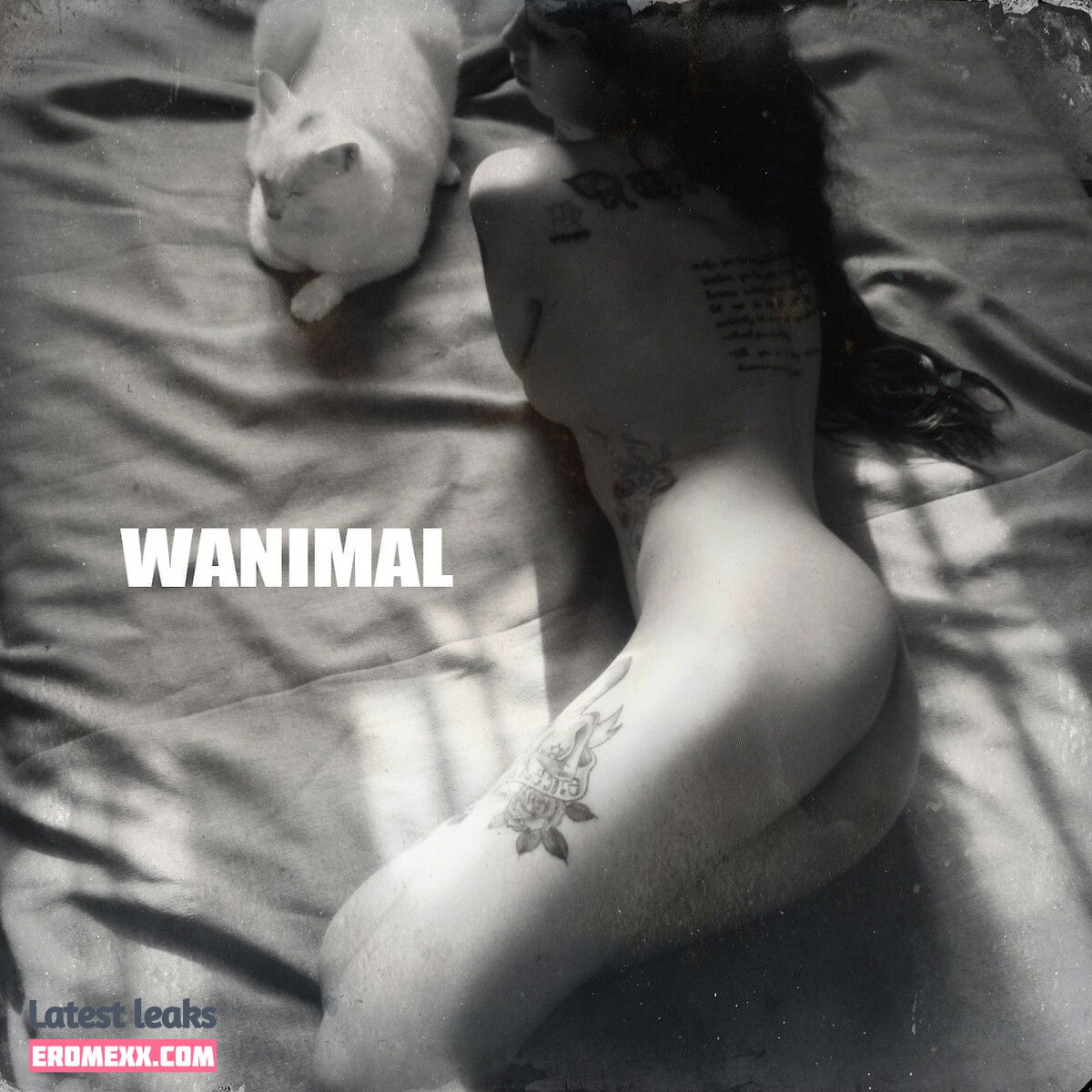 Latest Leaks Wanimal Models Nude #50 - Fapello