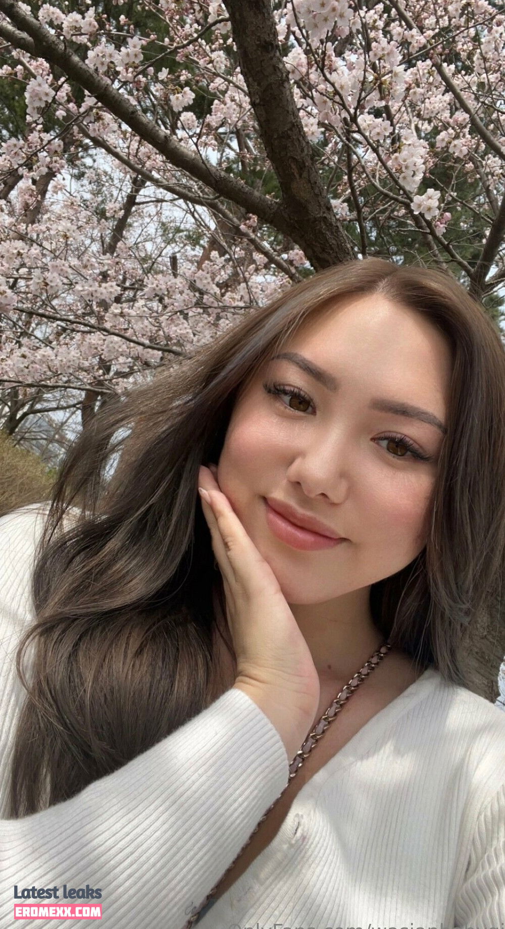 Latest Leaks Wasianbabygirl Nude #114 - Fapello