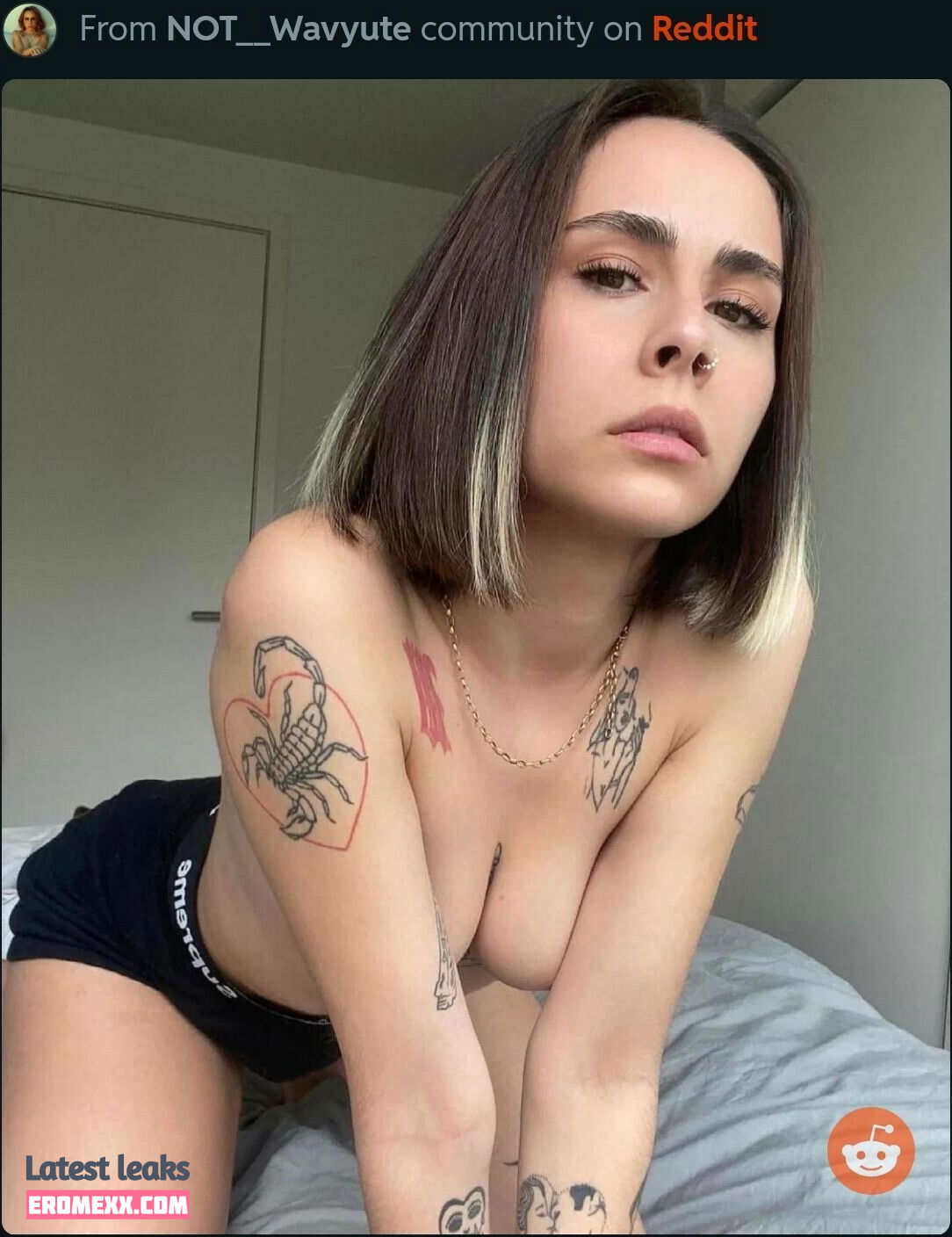 Latest Leaks Wavyute Nude #14 - Fapello