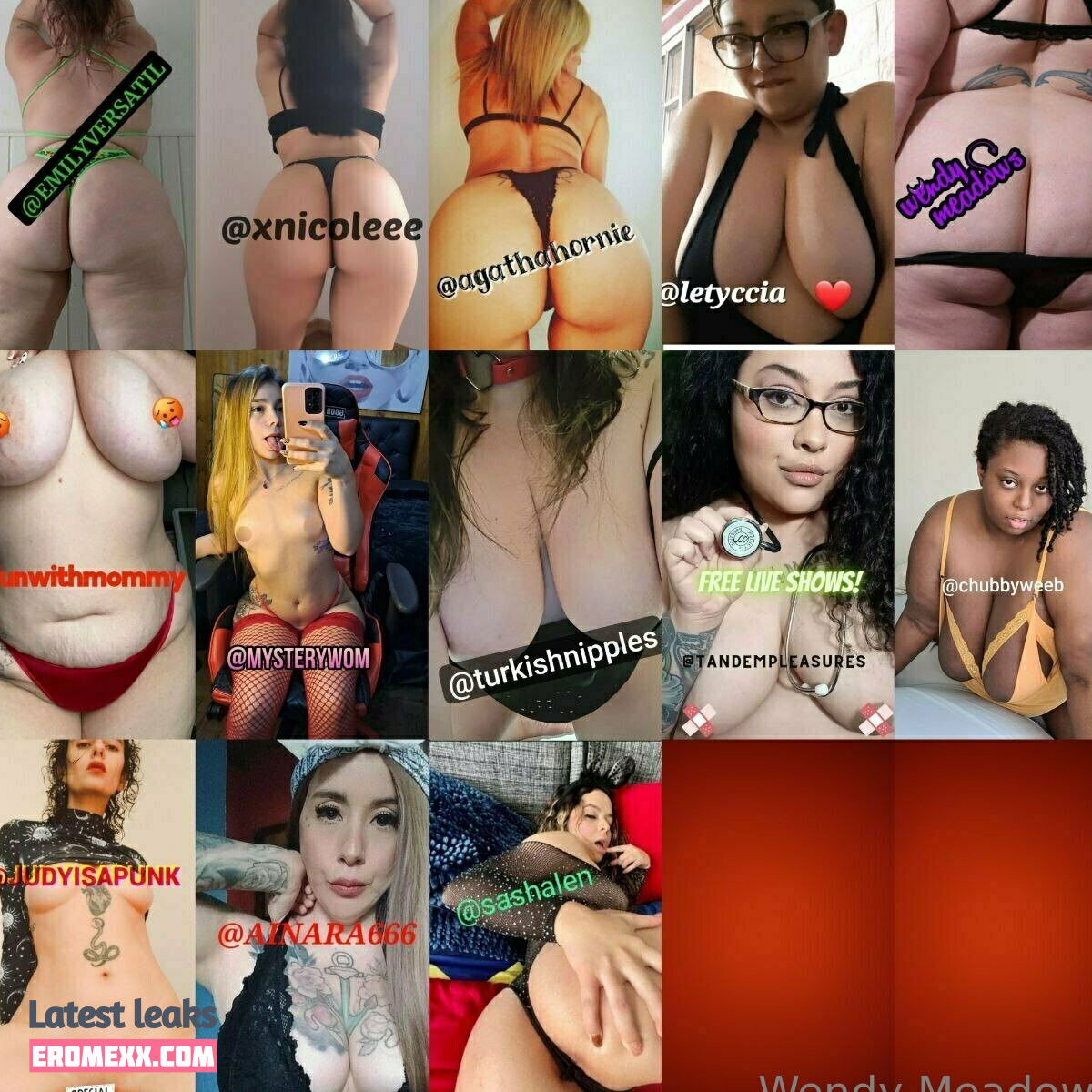 Latest Leaks wendymeadows Nude #44 - Fapello