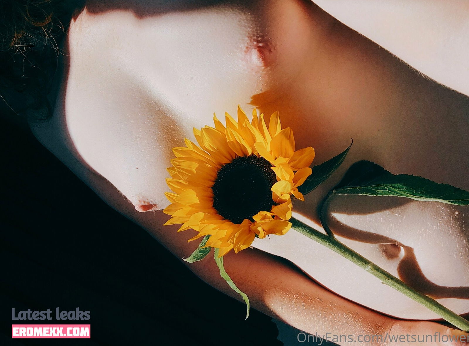 Latest Leaks wetsunflowers Nude #7 - Fapello