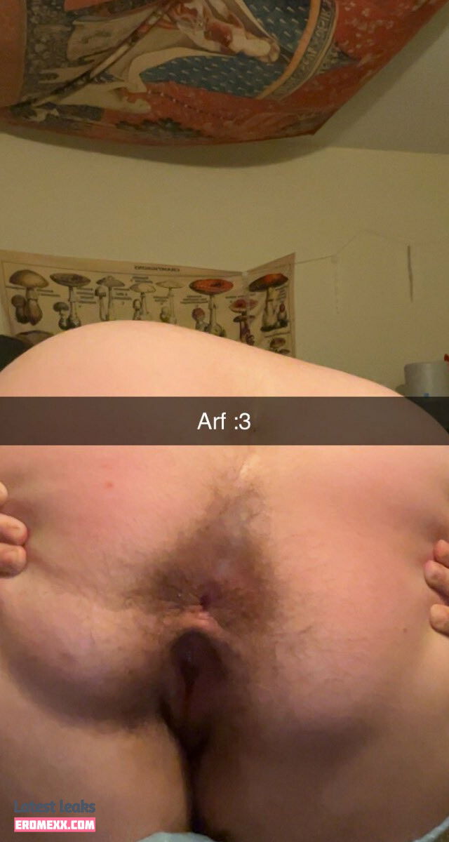 Latest Leaks Wh0r3d0g Nude #2 - Fapello
