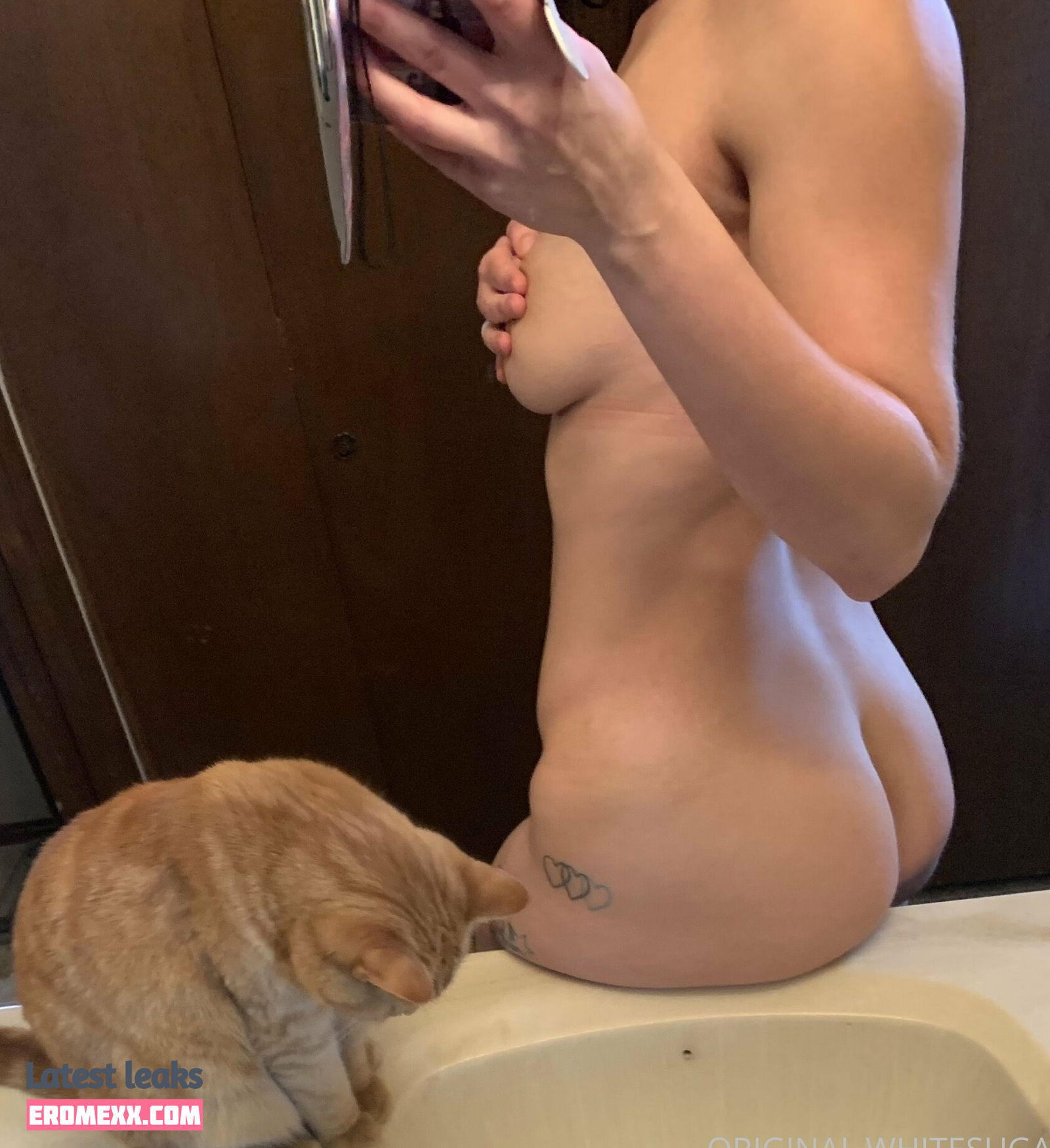 Latest Leaks whitesugarr Nude #4 - Fapello