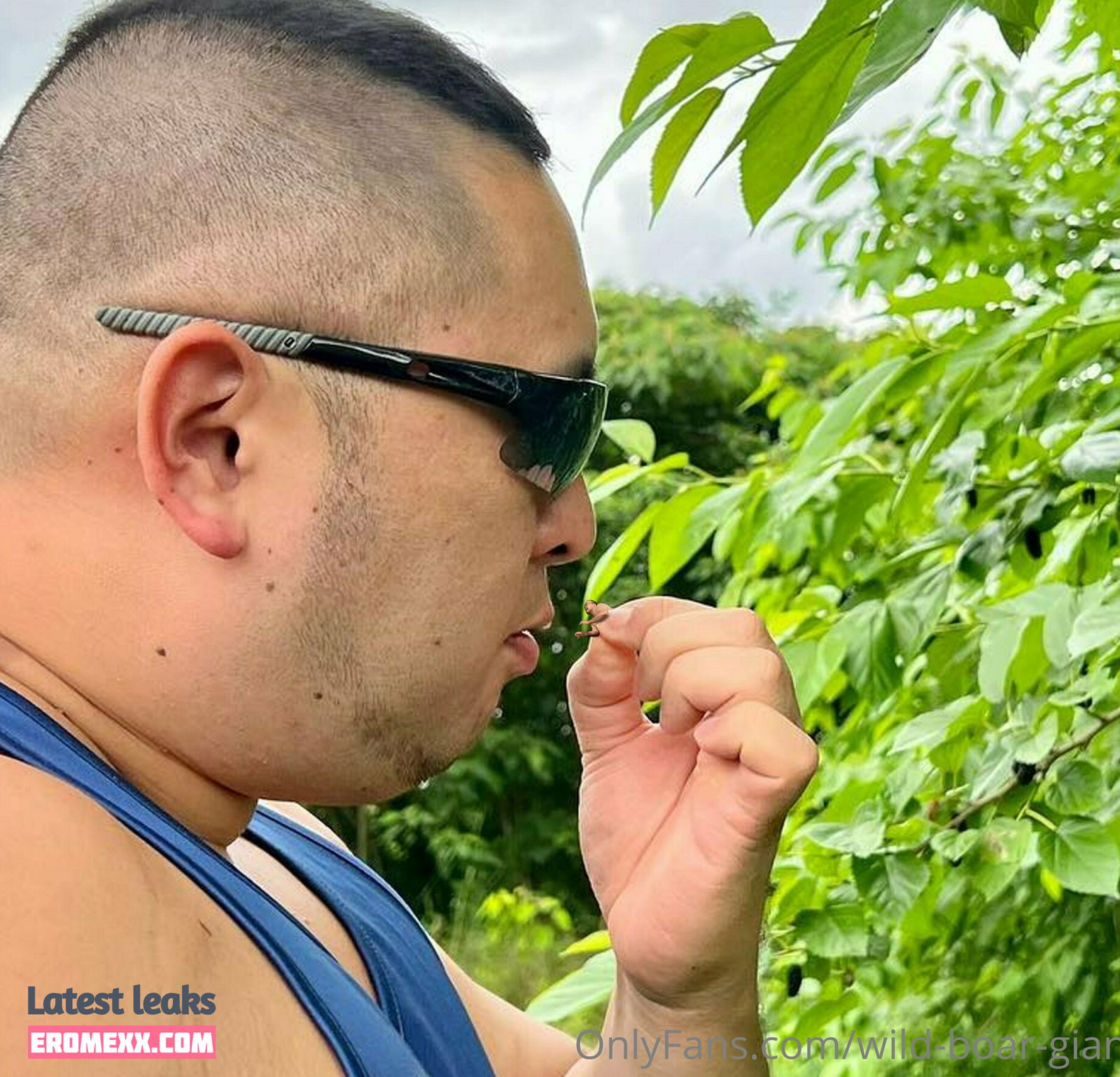 Latest Leaks wild-boar-giant Nude #12 - Fapello