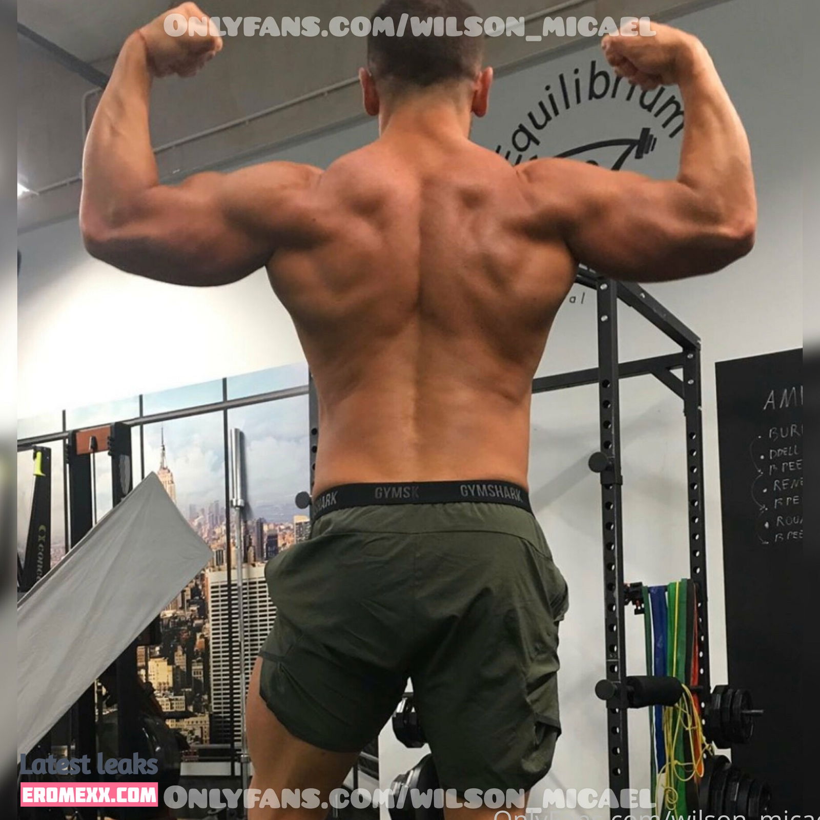 Latest Leaks wilson_micael Nude #1 - Fapello