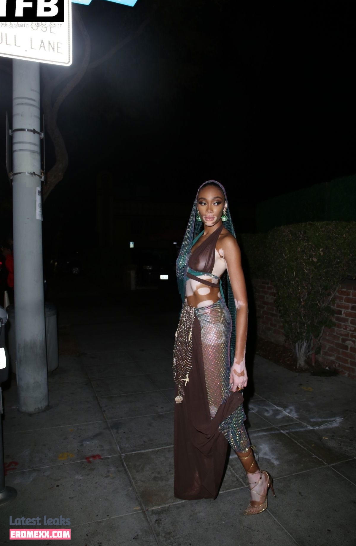 Latest Leaks Winnie Harlow Nude #360 - Fapello