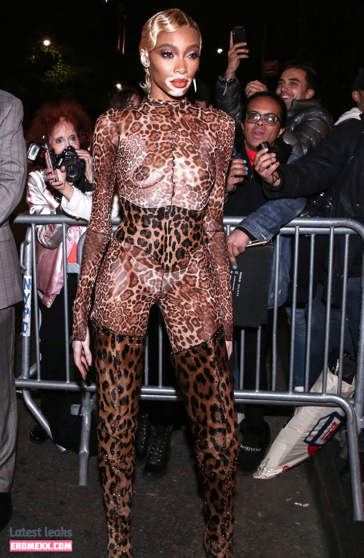 Latest Leaks Winnie Harlow Nude #79 - Fapello