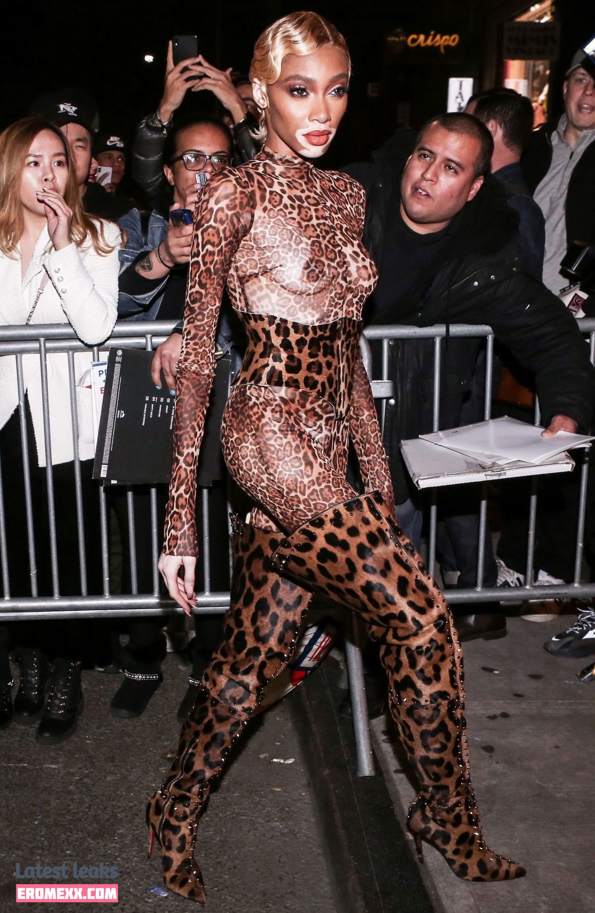 Latest Leaks Winnie Harlow Nude #81 - Fapello