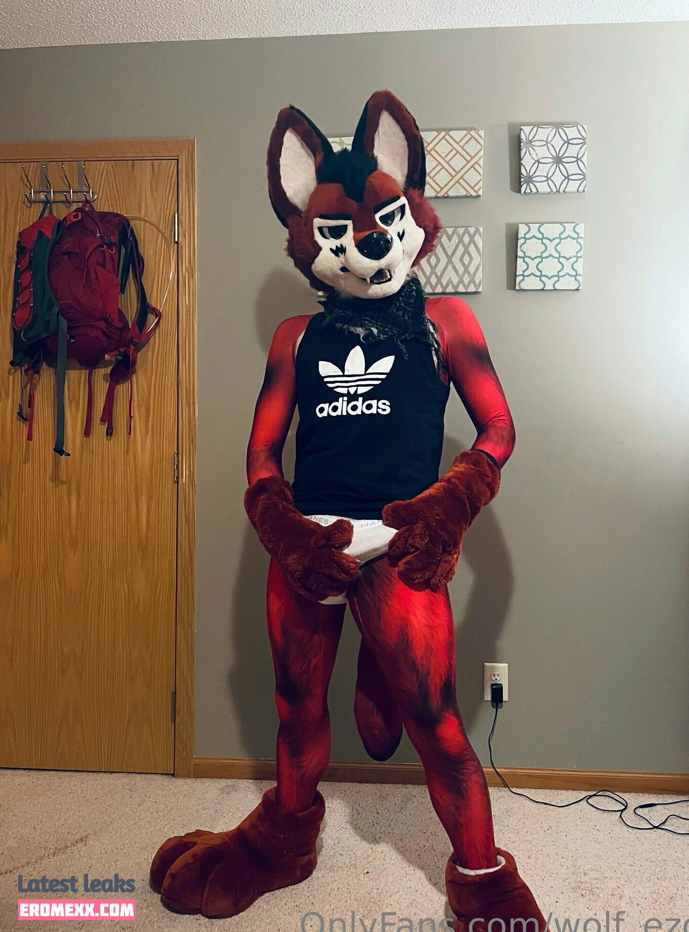 Latest Leaks wolf_ezo Nude #1 - Fapello