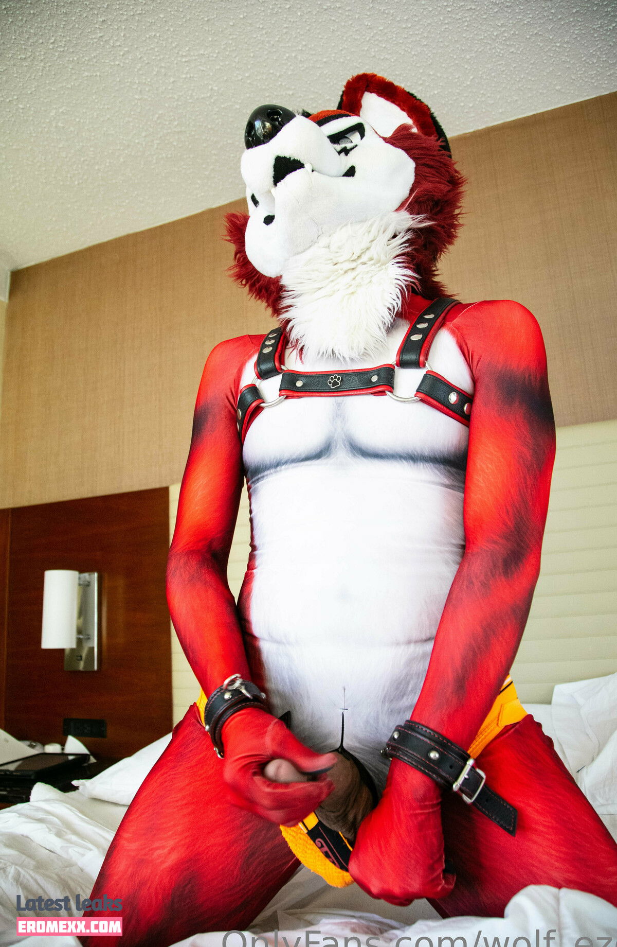 Latest Leaks wolf_ezo Nude #13 - Fapello
