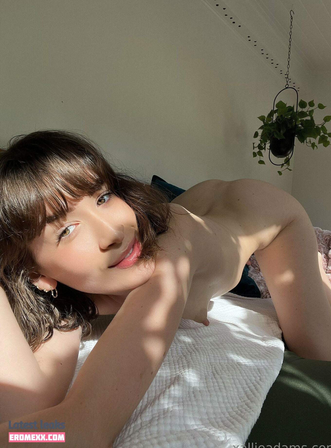 Latest Leaks xallieadams Nude #4 - Fapello