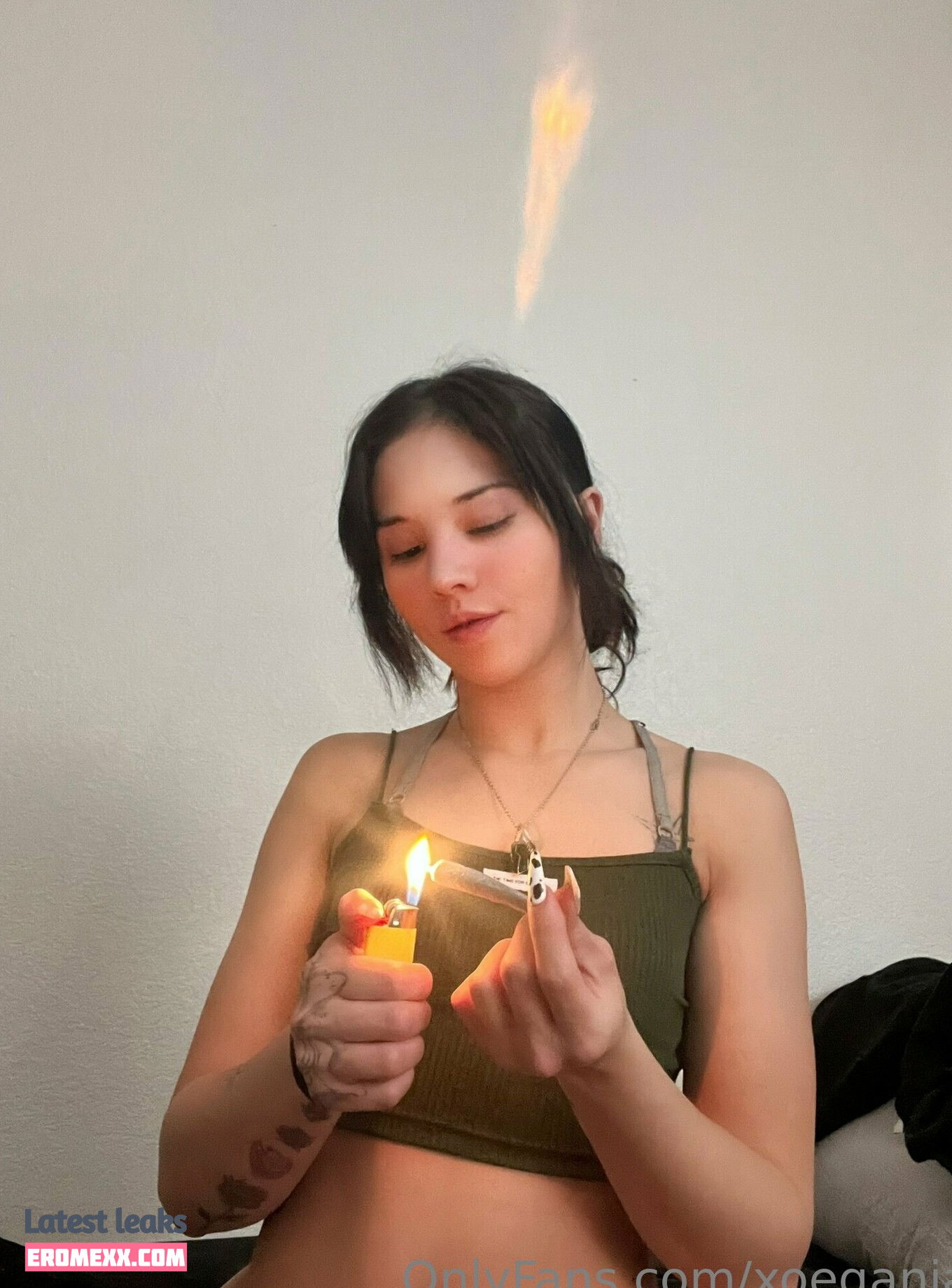 Latest Leaks xoeganja Nude #21 - Fapello