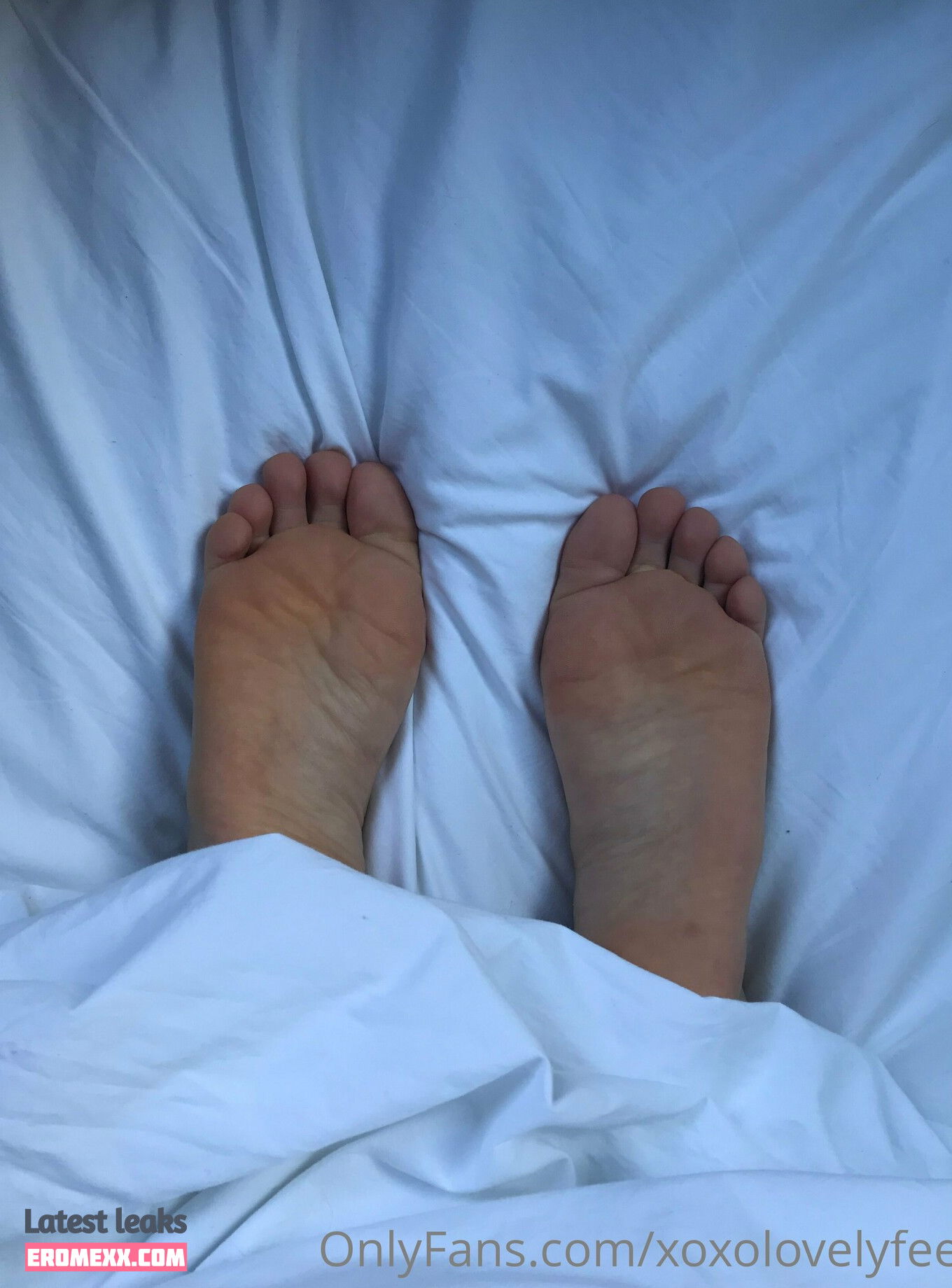 Latest Leaks xoxolovelyfeet Nude #22 - Fapello