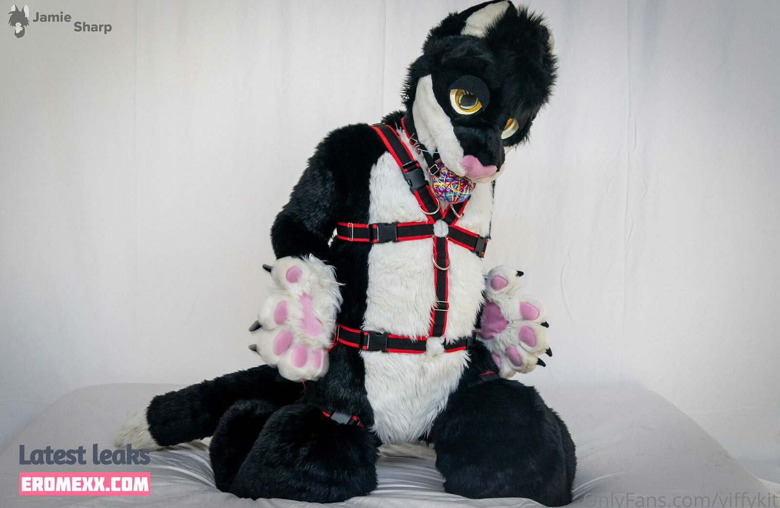 Latest Leaks yiffykitty Nude #22 - Fapello