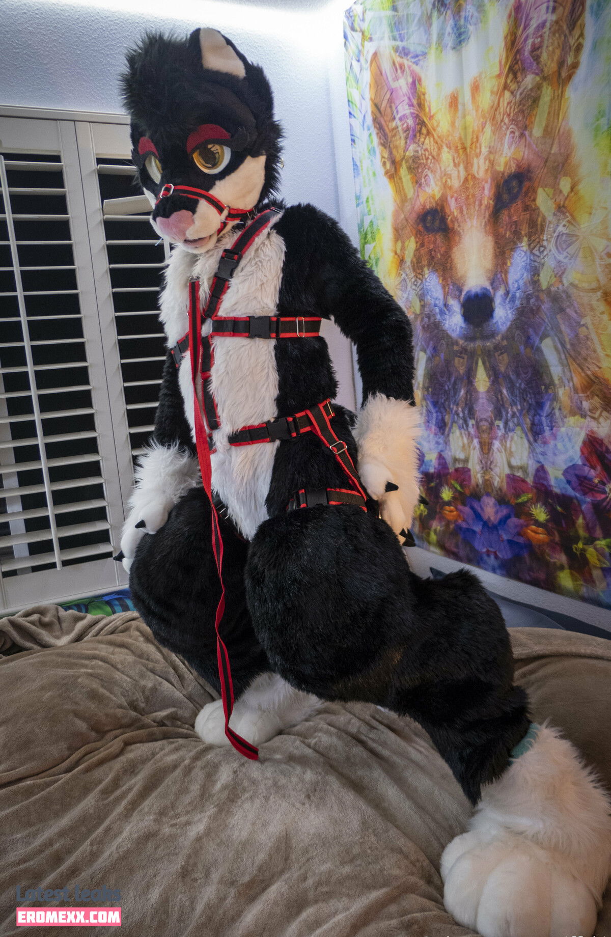 Latest Leaks yiffykitty Nude #7 - Fapello