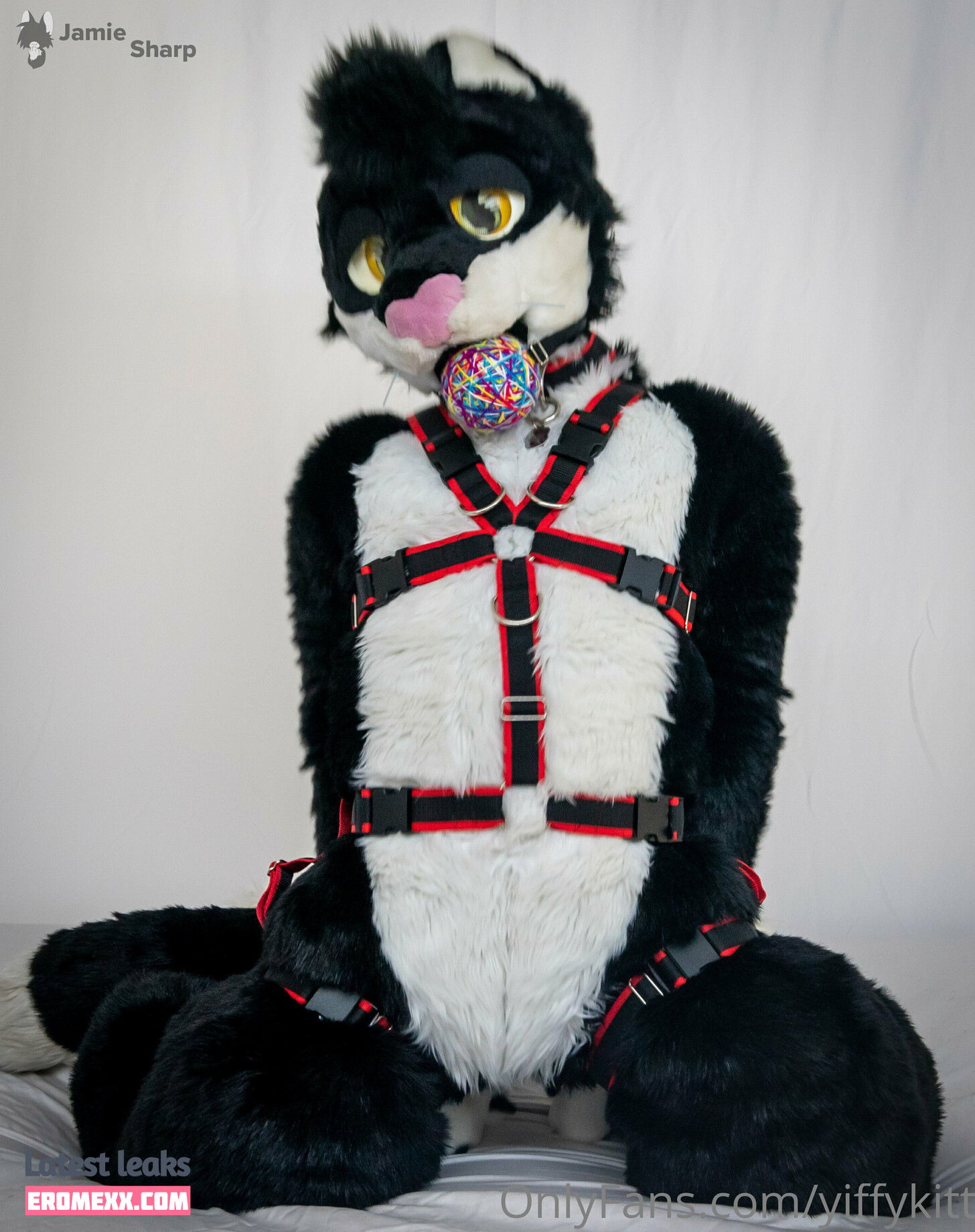 Latest Leaks yiffykitty Nude #8 - Fapello