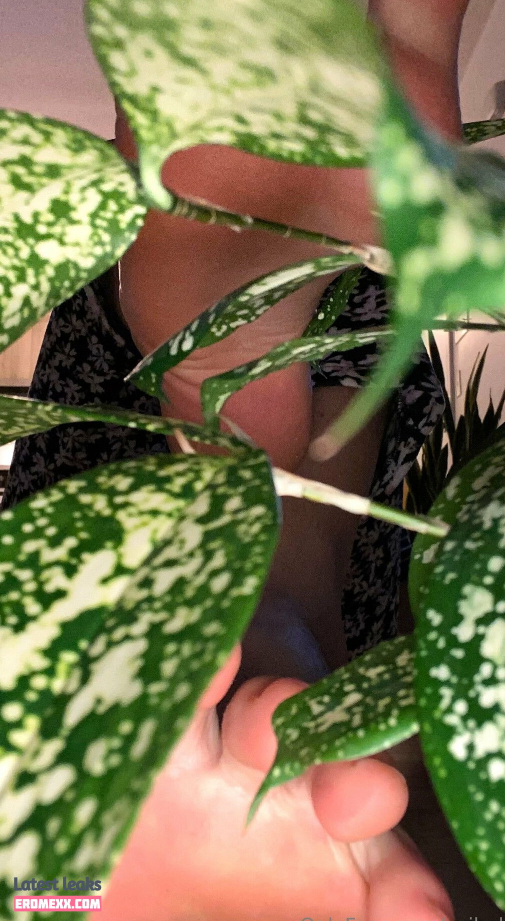 Latest Leaks yvibelly Nude #14 - Fapello