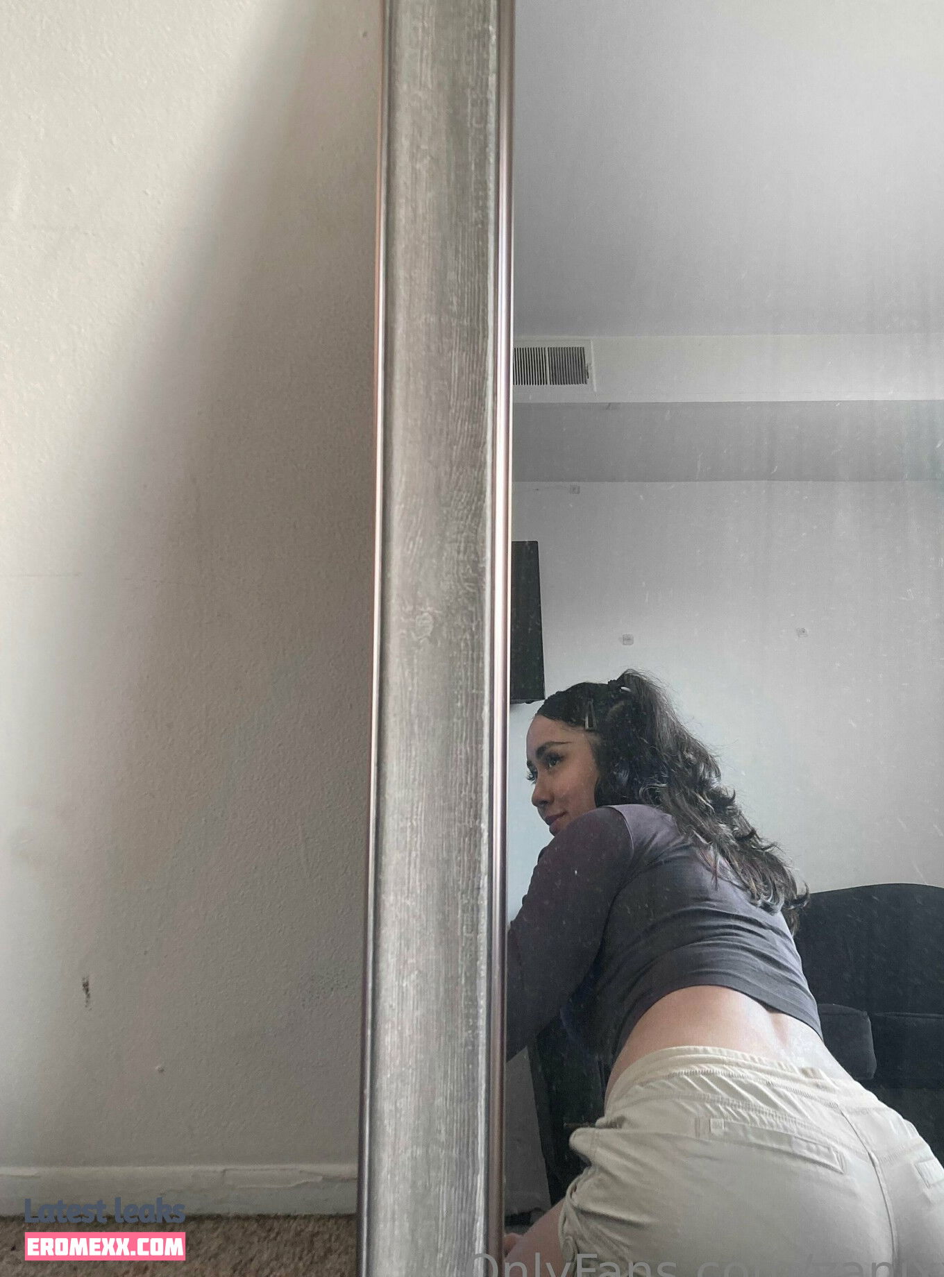 Latest Leaks zanixx Nude #4 - Fapello