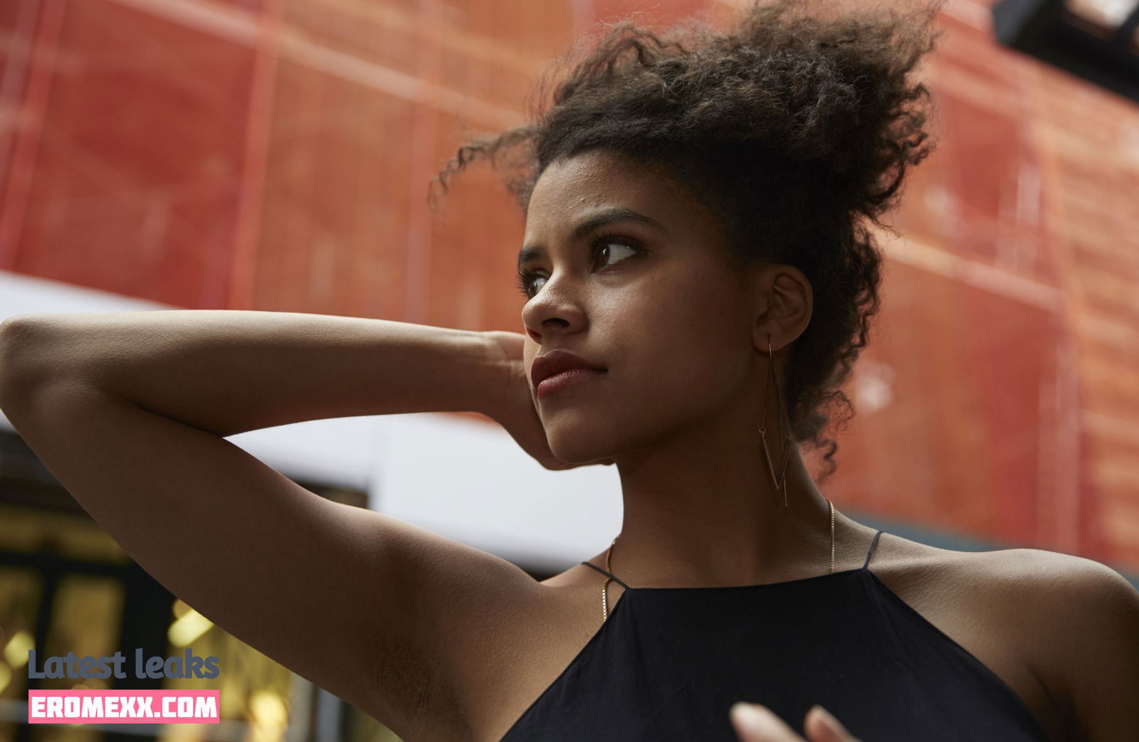 Latest Leaks Zazie Beetz Nude #4 - Fapello