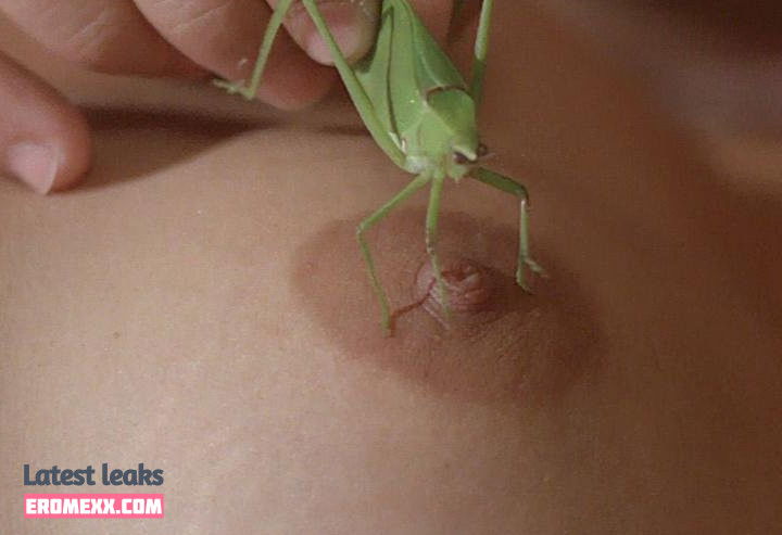 Latest Leaks Zélia Diniz Nude #11 - Fapello