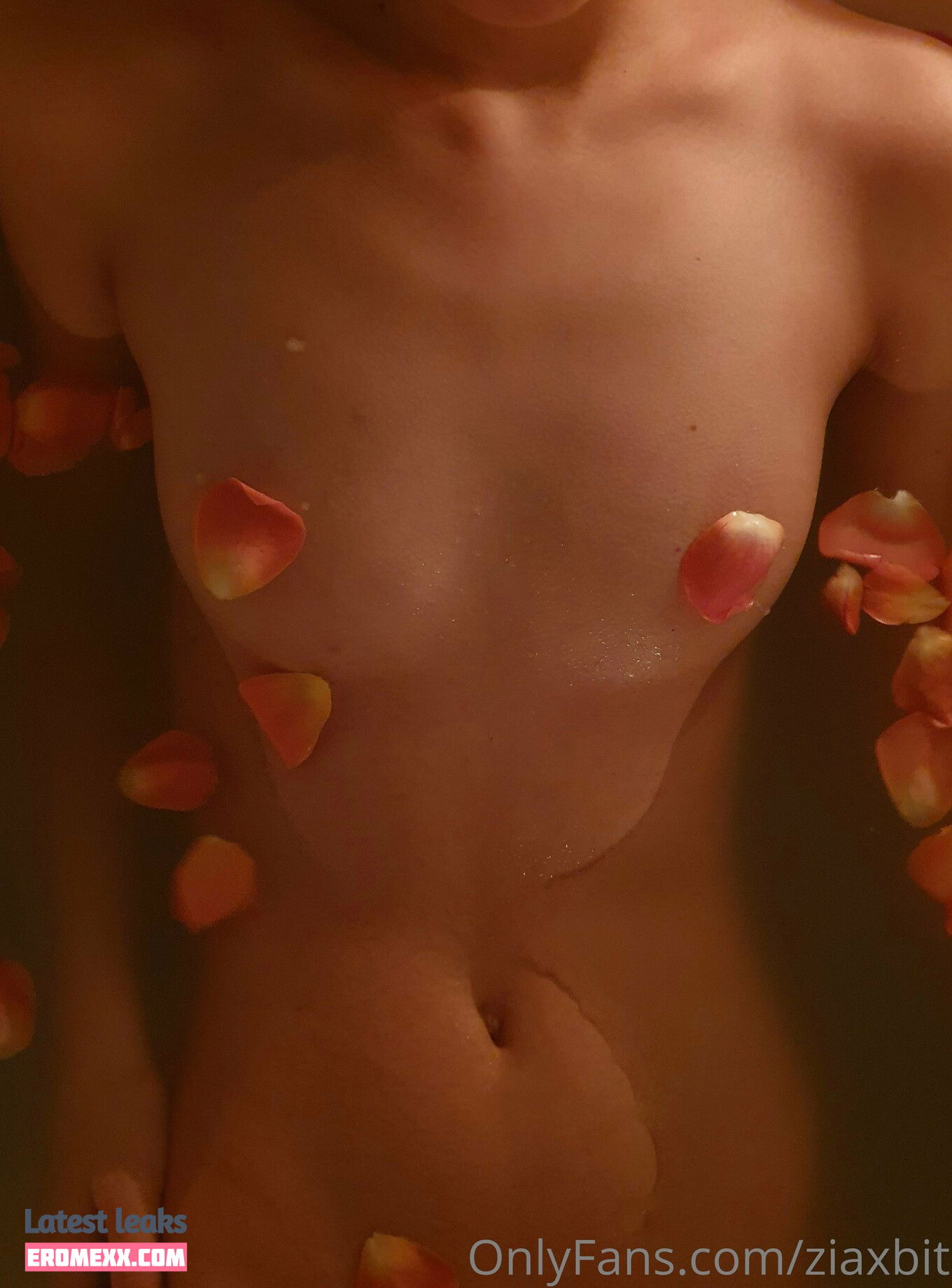 Latest Leaks ziaxbite Nude #27 - Fapello