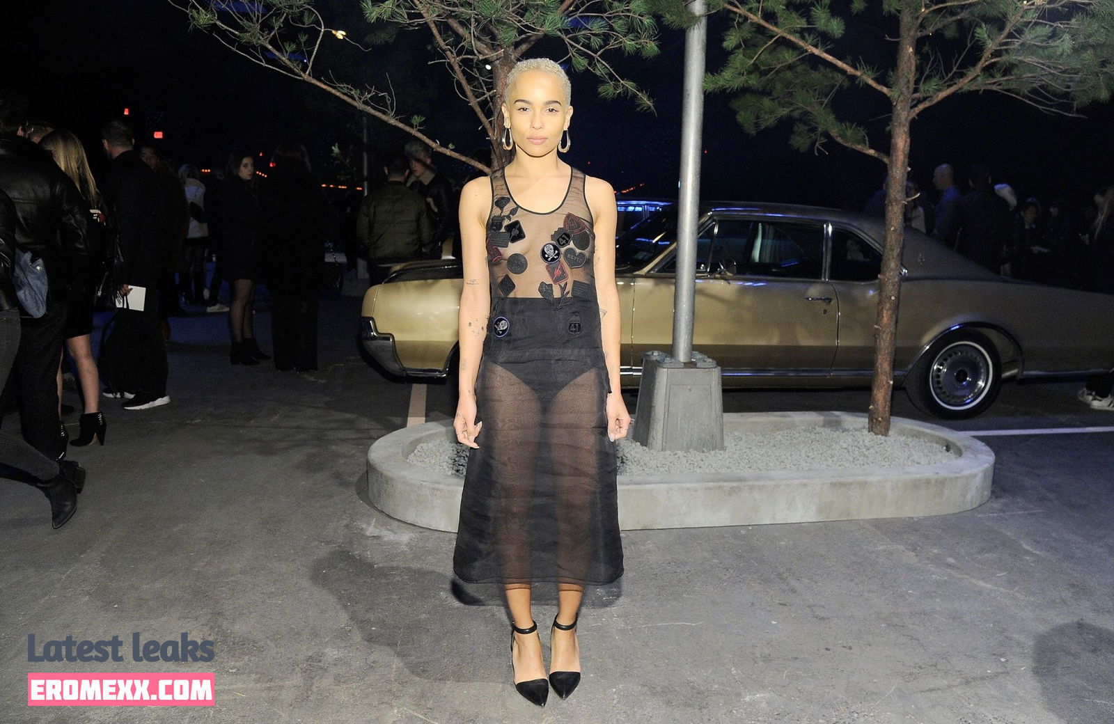 Latest Leaks Zoë Kravitz Nude #103 - Fapello