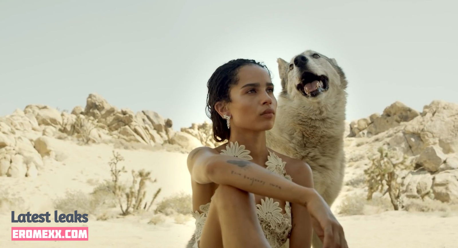 Latest Leaks Zoë Kravitz Nude #29 - Fapello
